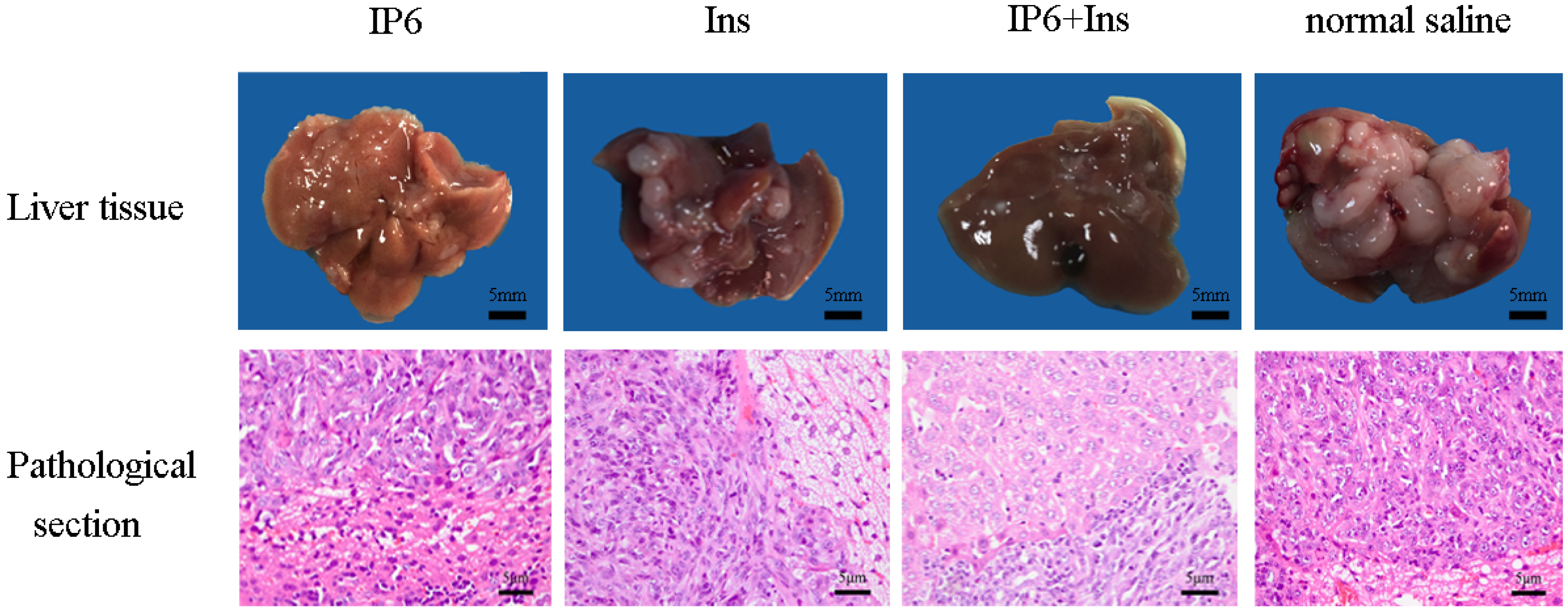 Nutrients 08 00286 g001