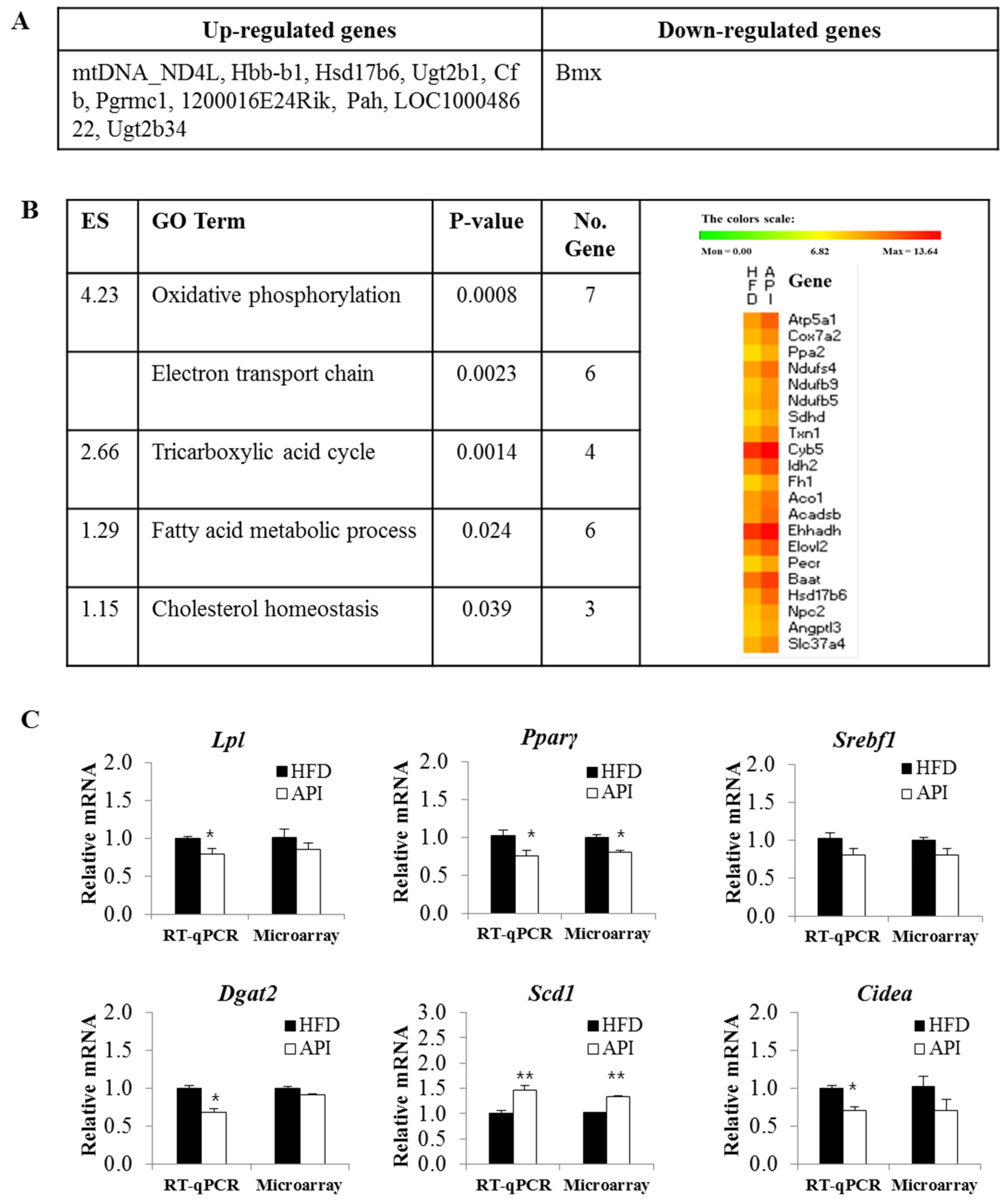 Nutrients 08 00305 g005