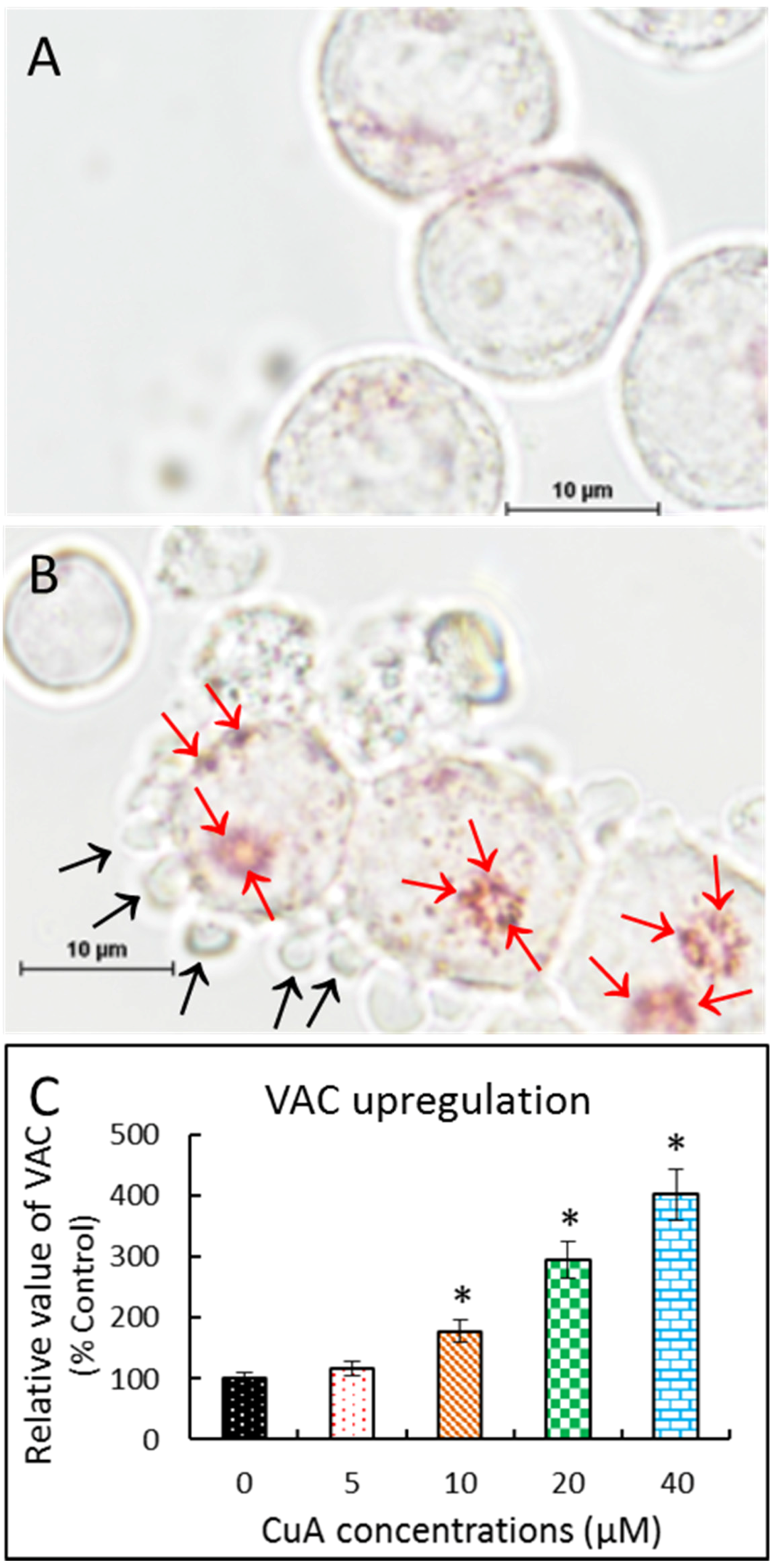 Nutrients 08 00318 g003