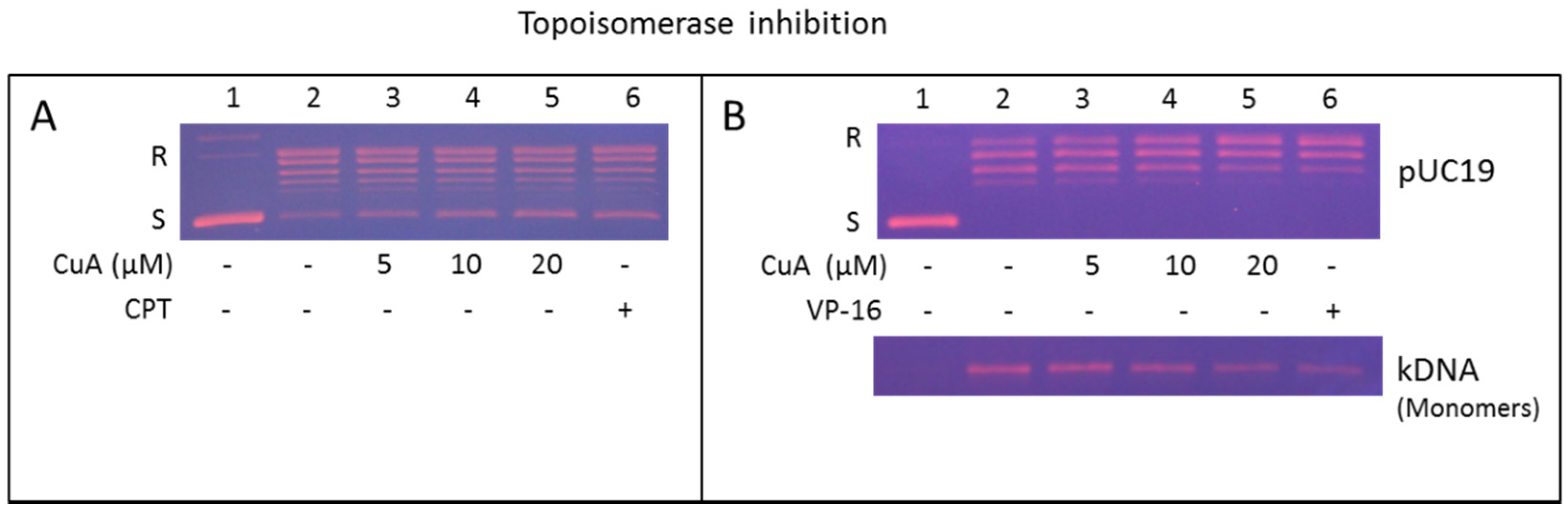 Nutrients 08 00318 g005