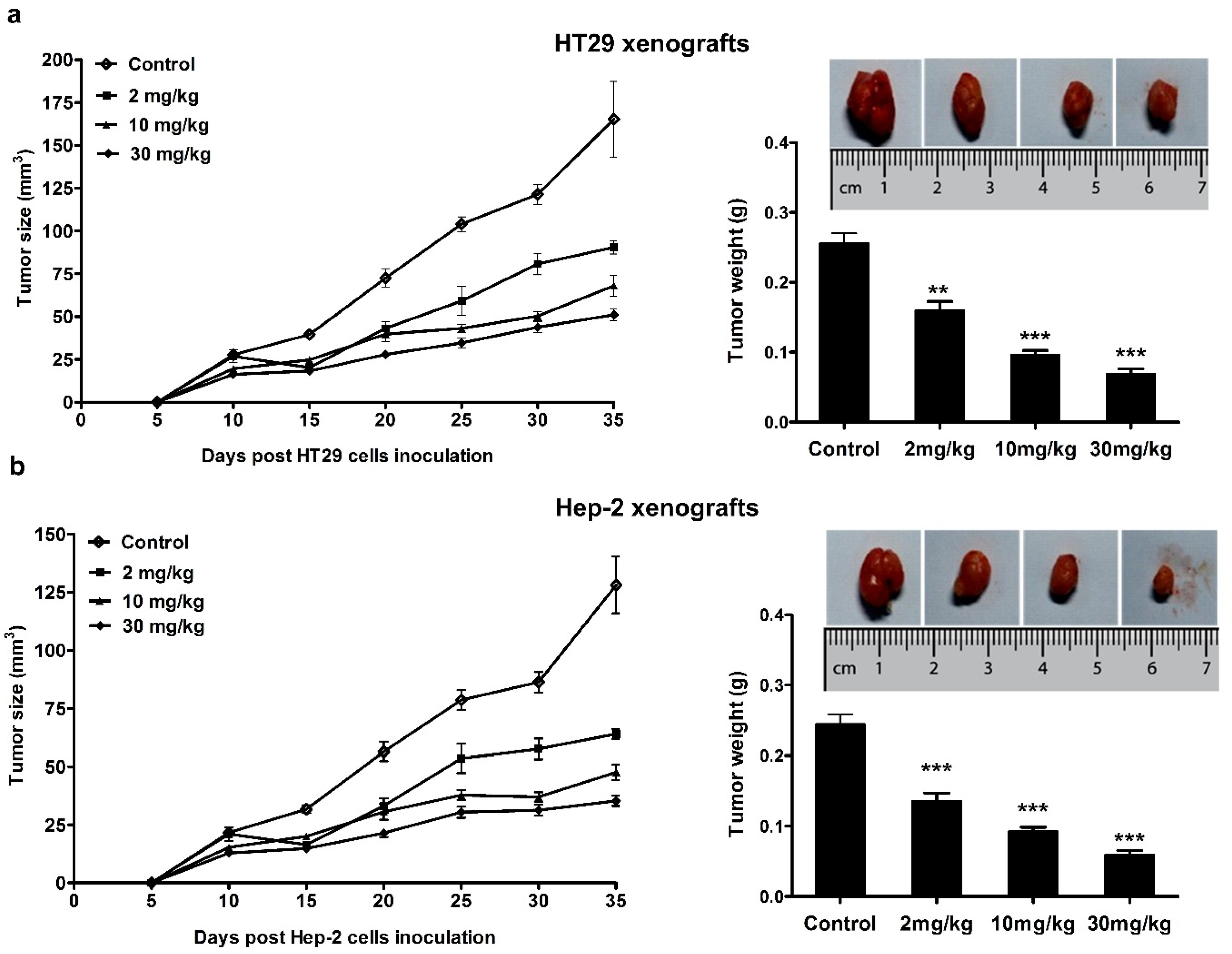 Nutrients 08 00360 g004