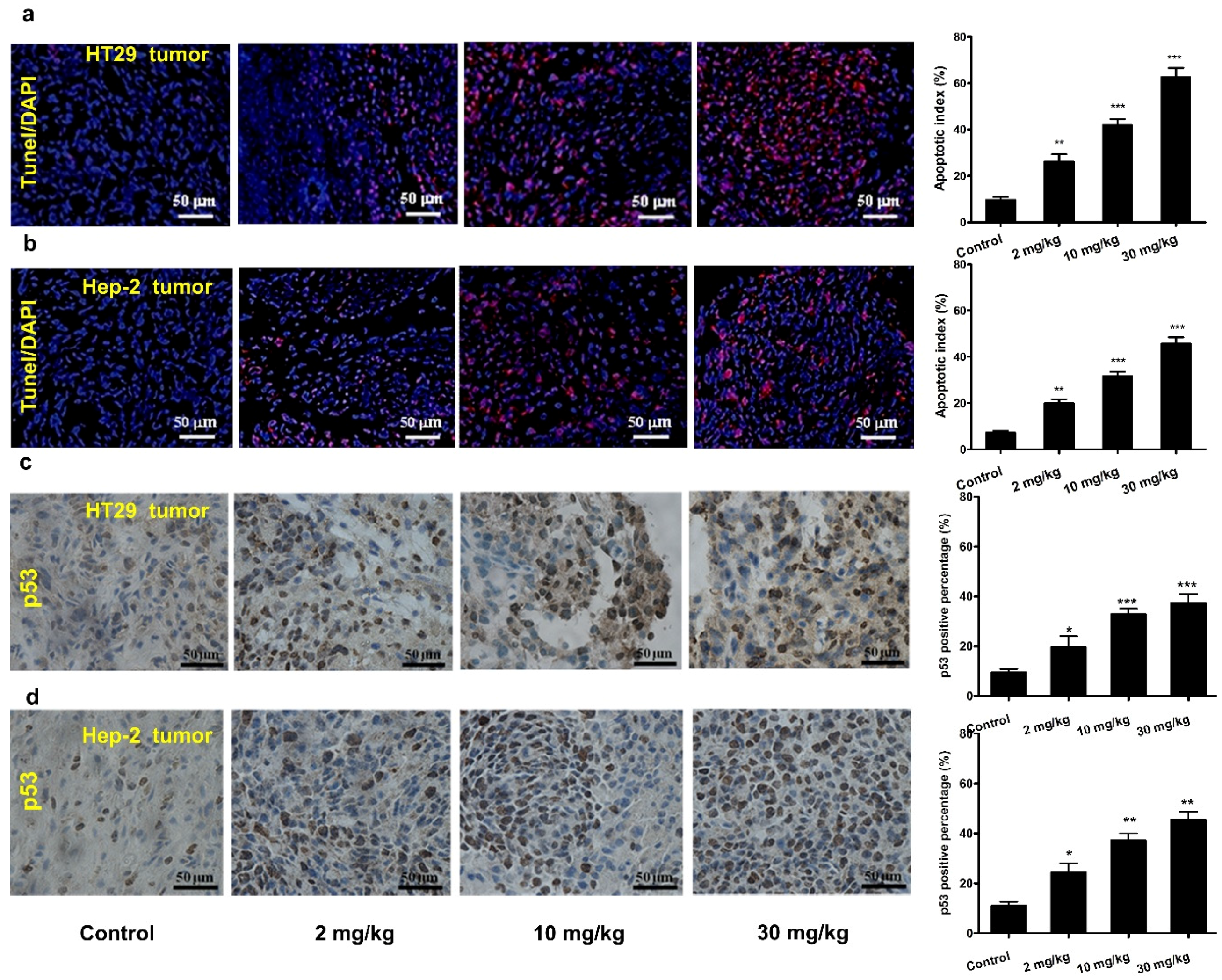 Nutrients 08 00360 g005