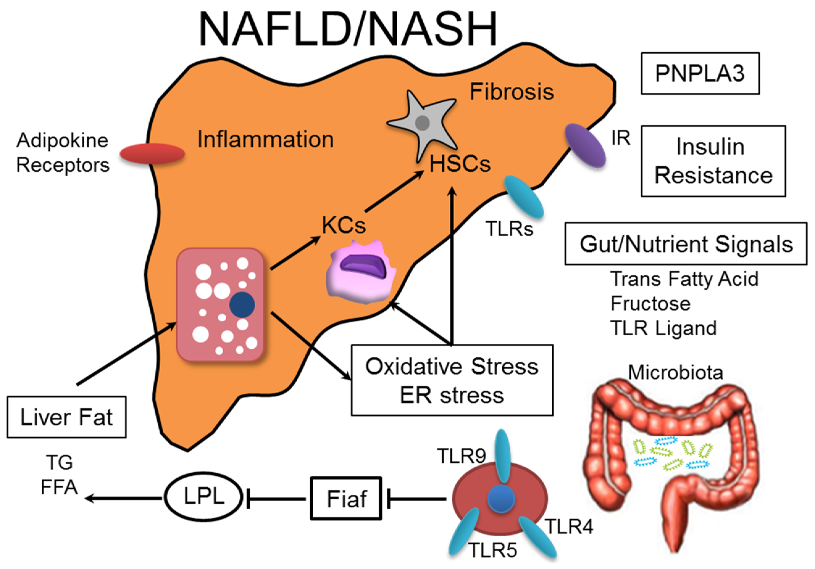 Nutrients 08 00391 g001