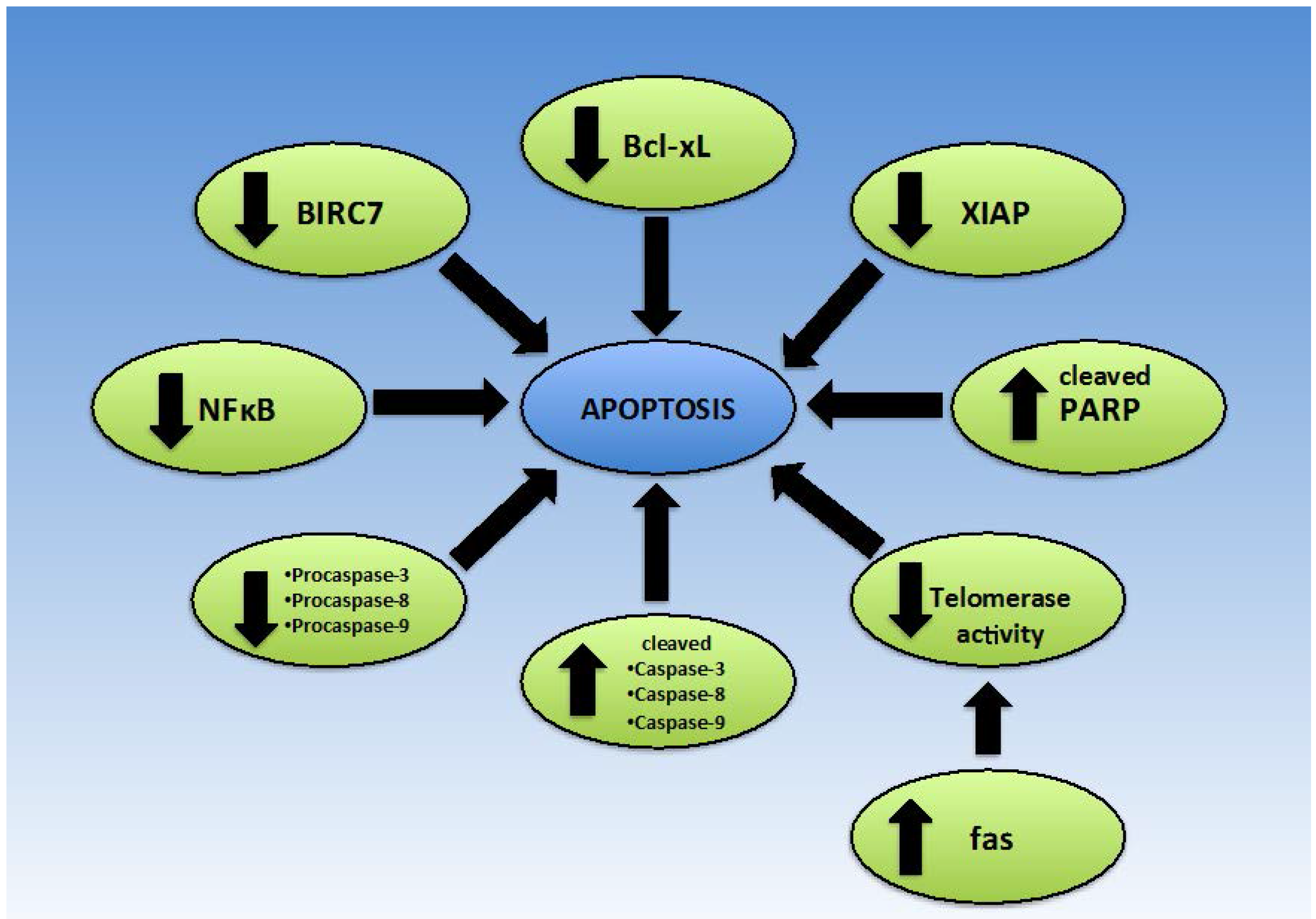 Nutrients 08 00396 g004