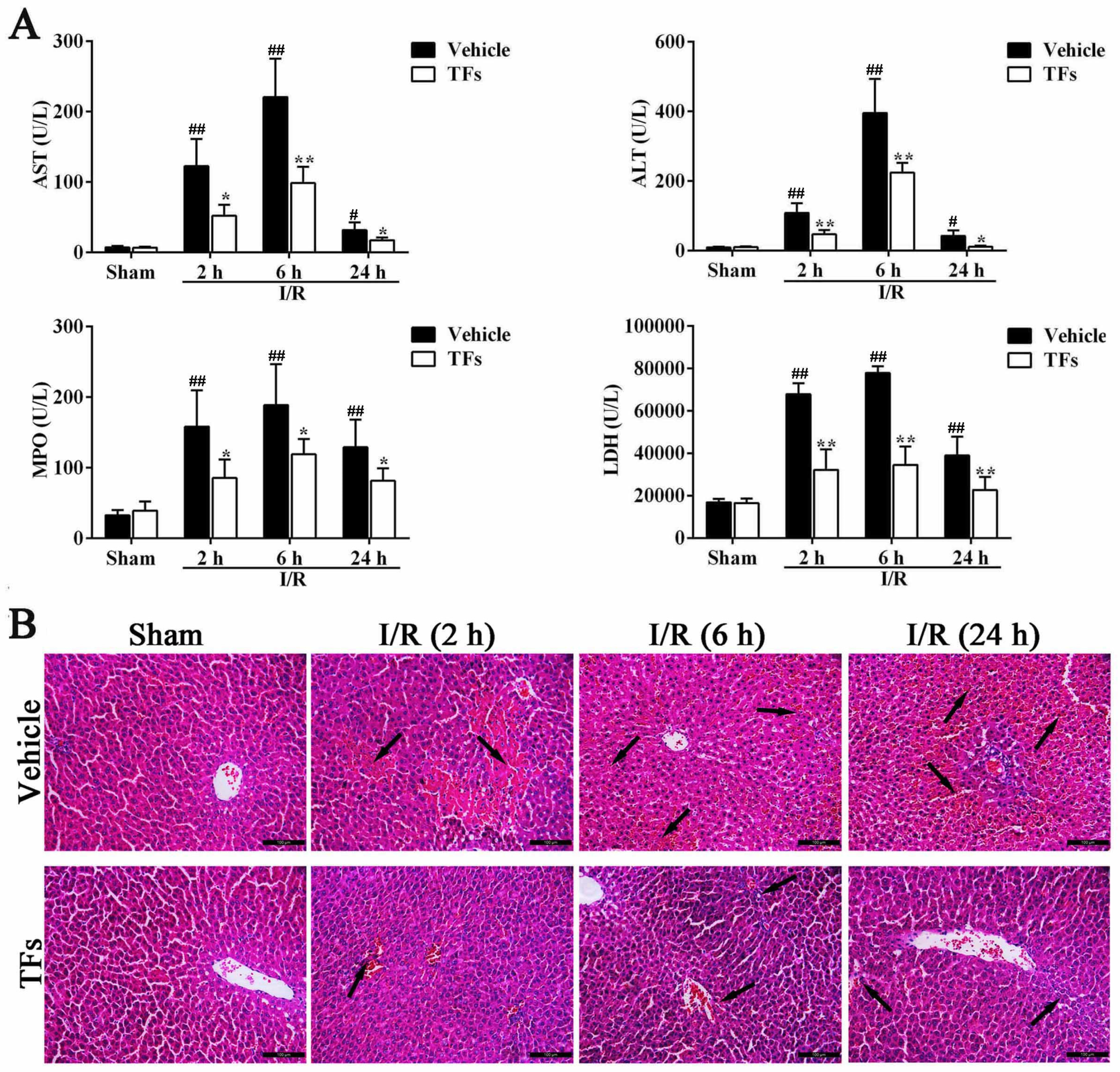 Nutrients 08 00418 g001