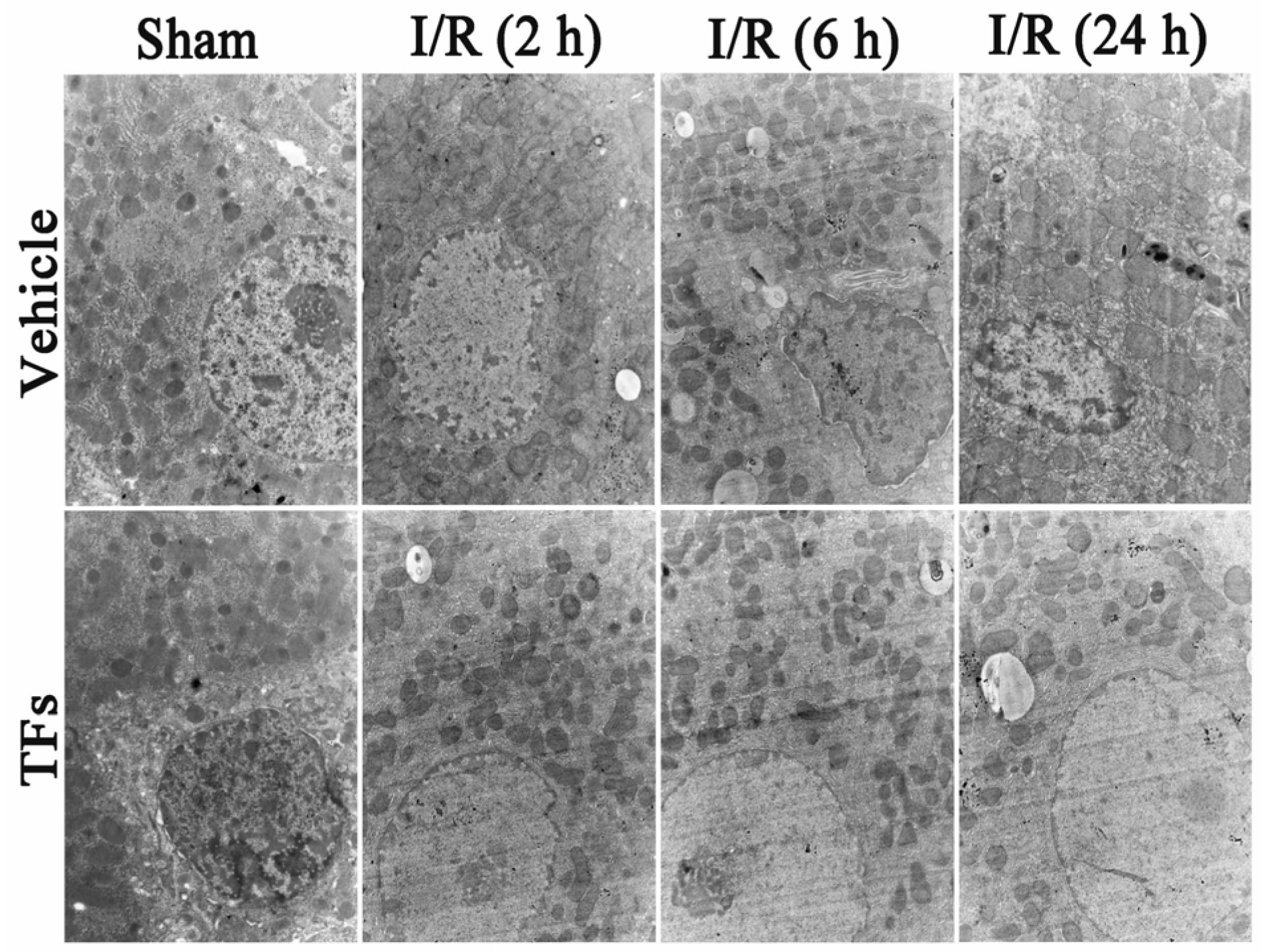 Nutrients 08 00418 g002