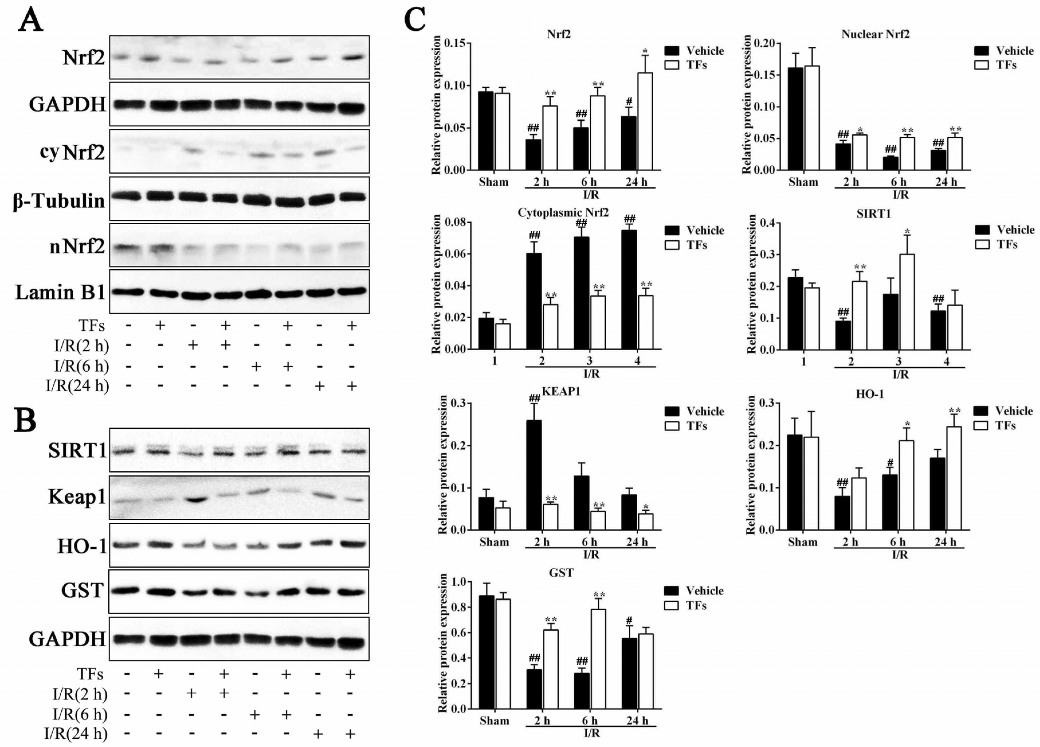 Nutrients 08 00418 g005