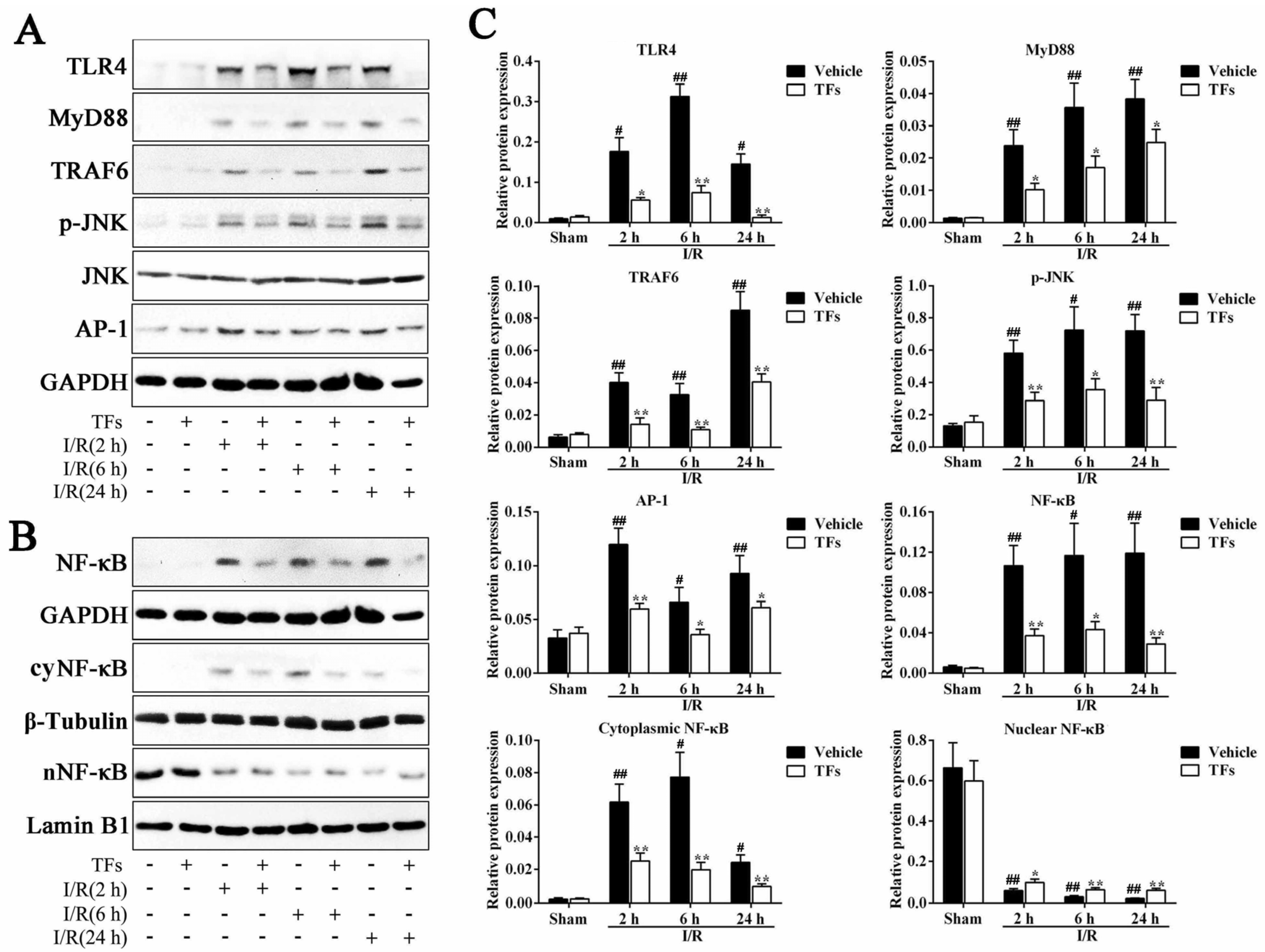 Nutrients 08 00418 g006