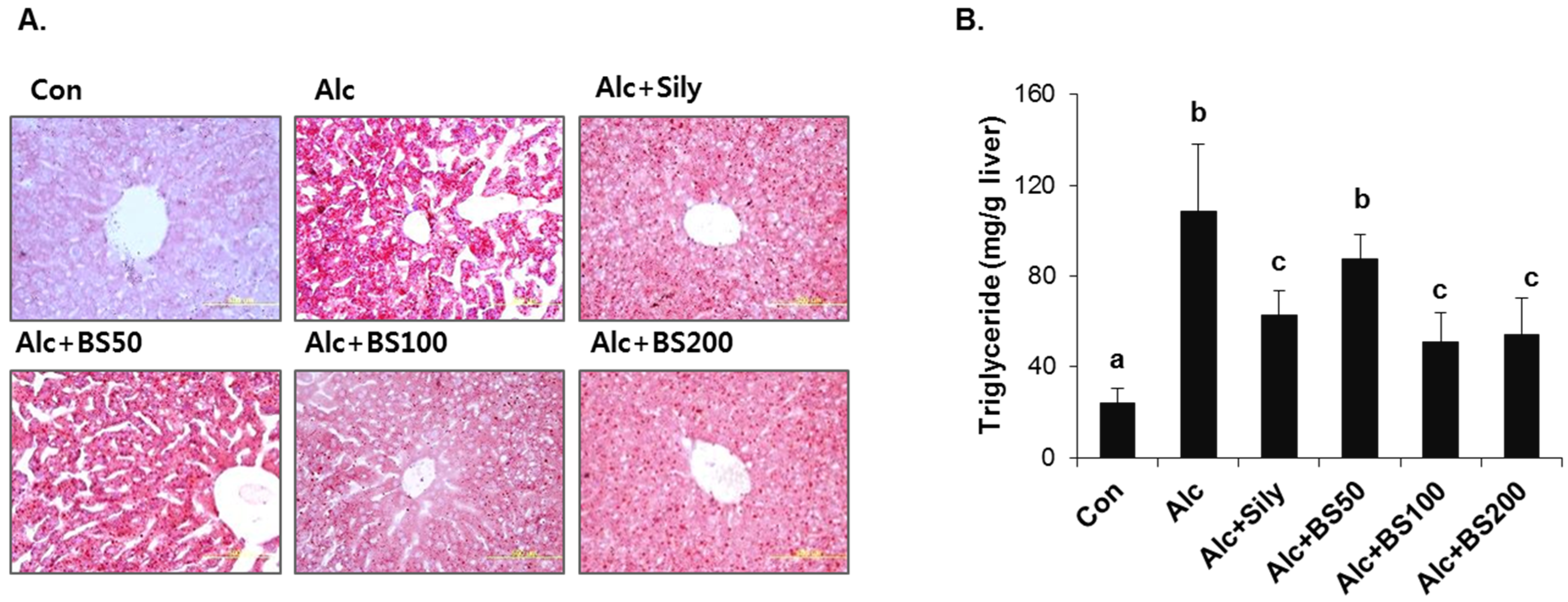 Nutrients 08 00440 g005