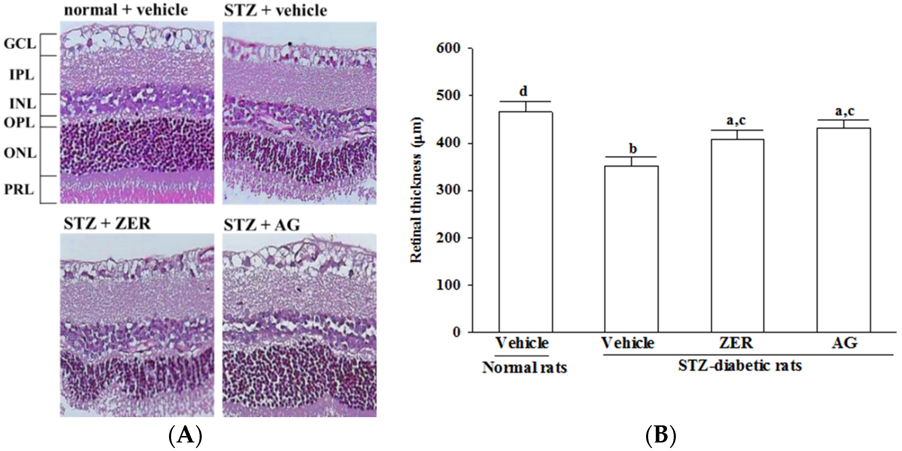 Nutrients 08 00449 g001