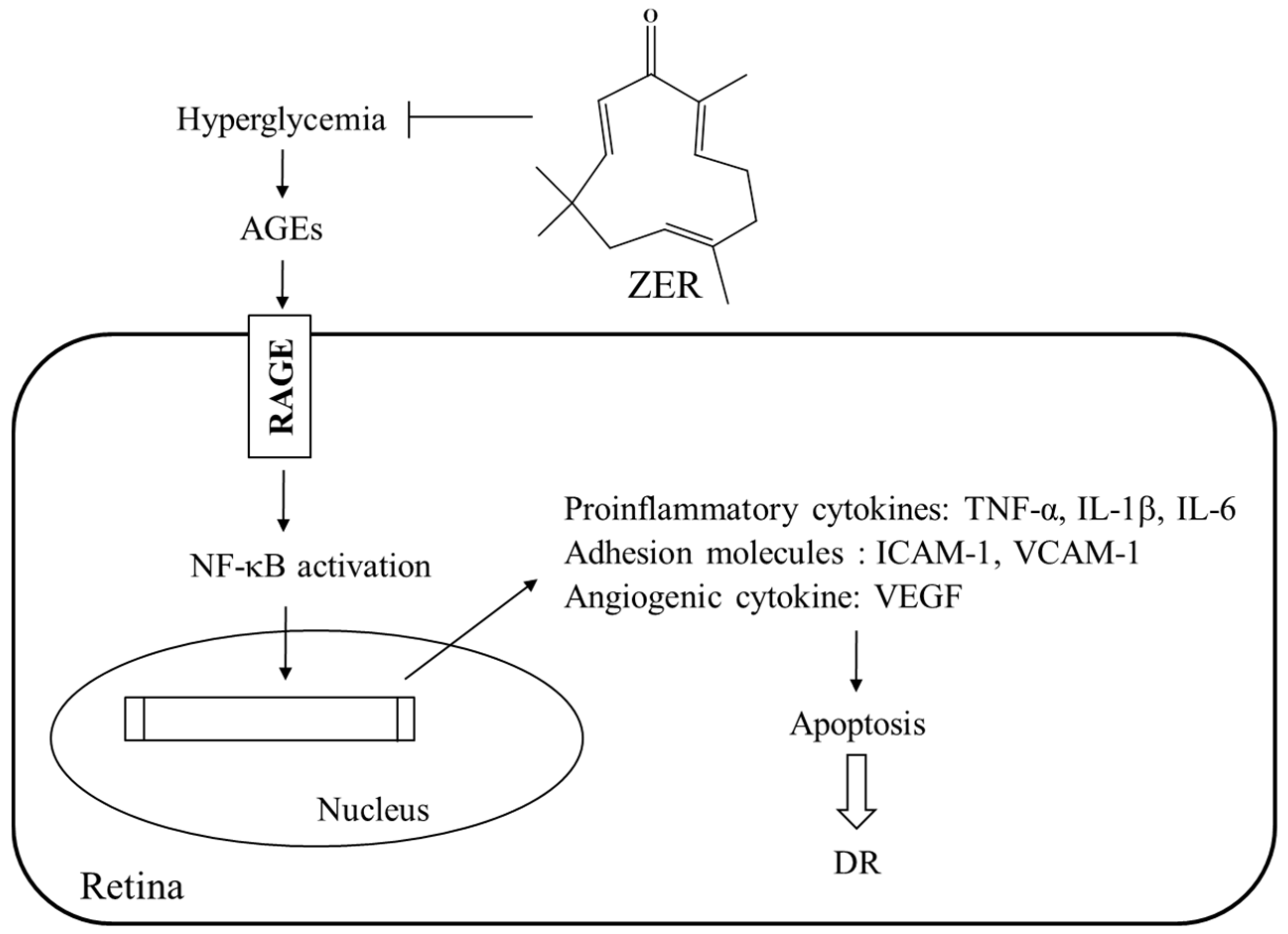 Nutrients 08 00449 g005