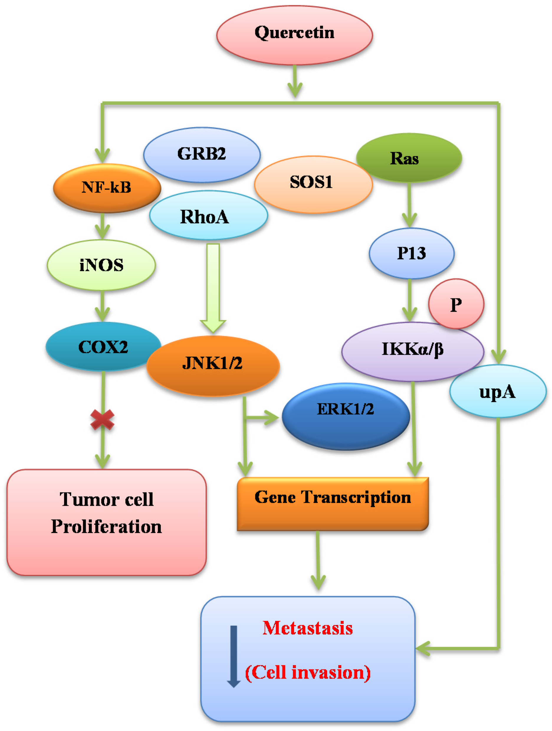 Nutrients 08 00529 g003