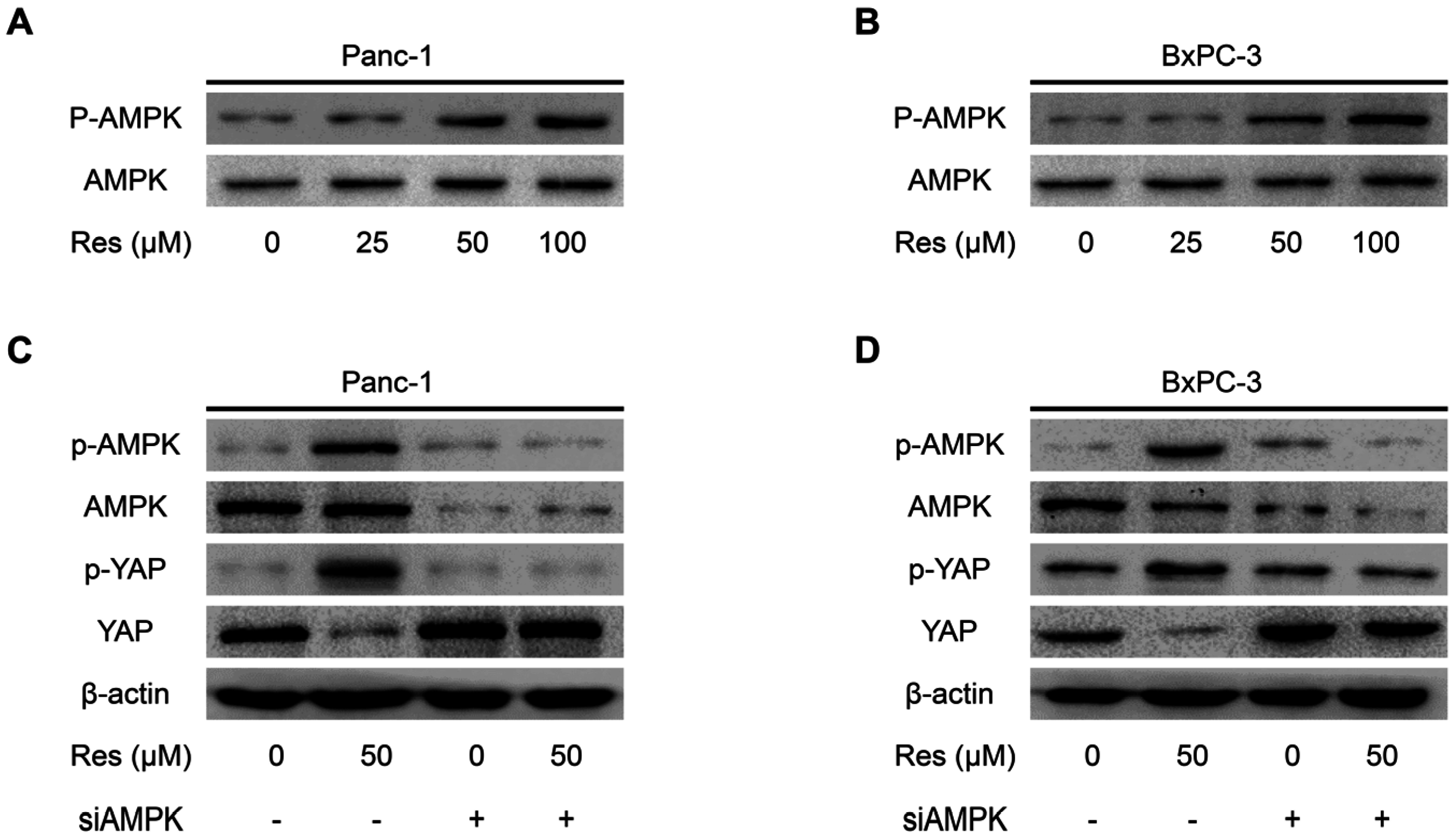 Nutrients 08 00546 g004a