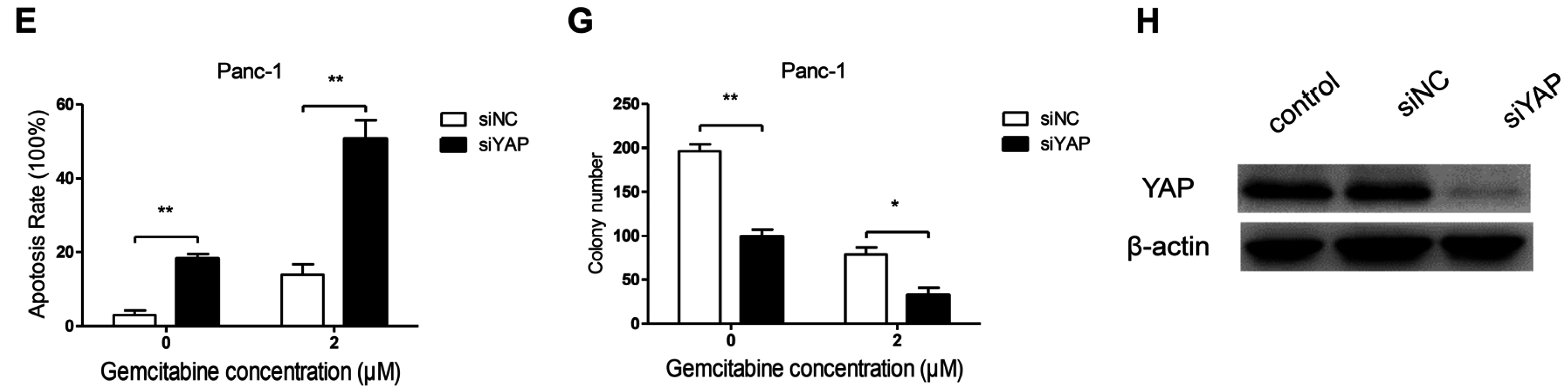 Nutrients 08 00546 g005b