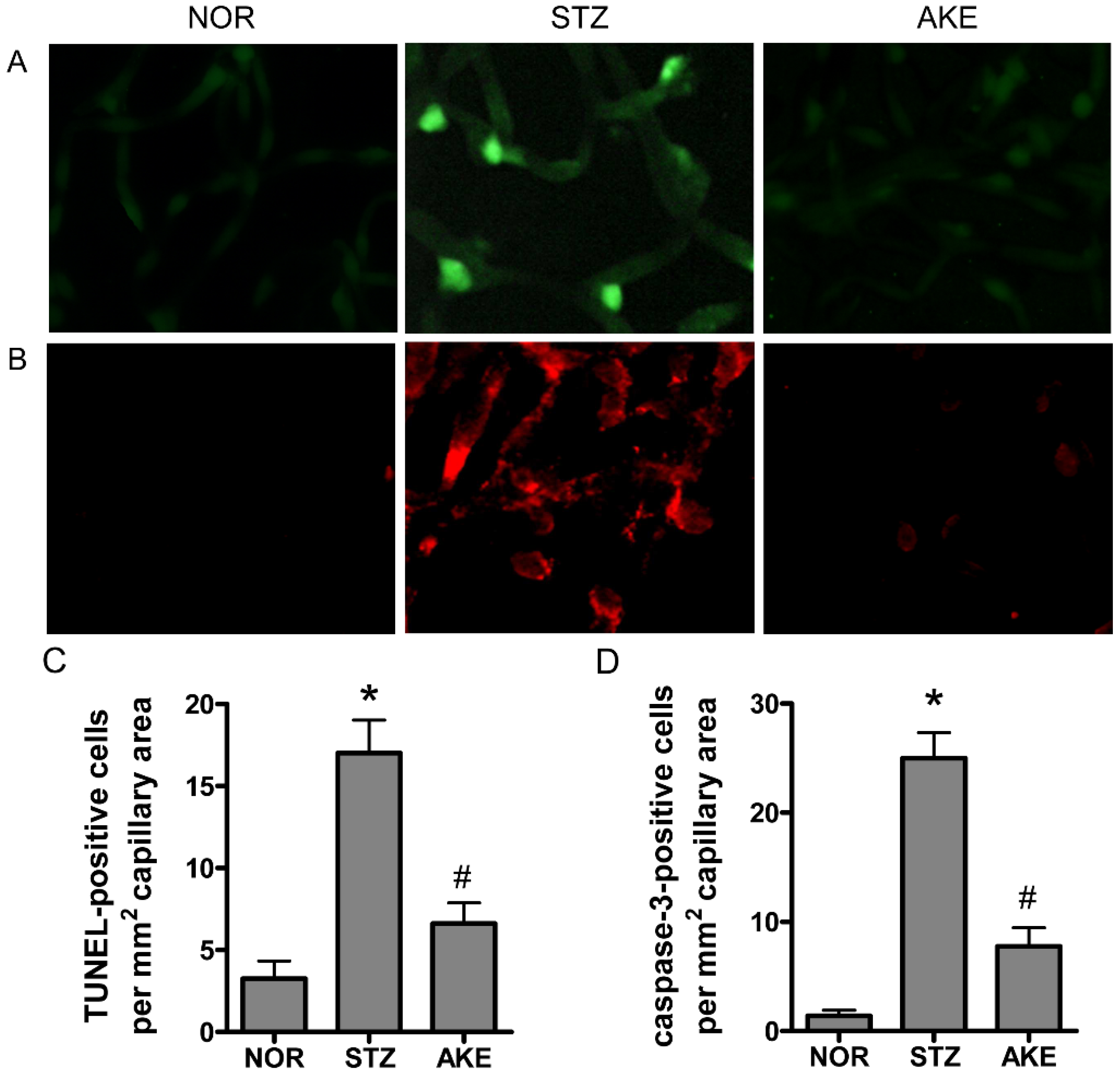 Nutrients 08 00585 g003