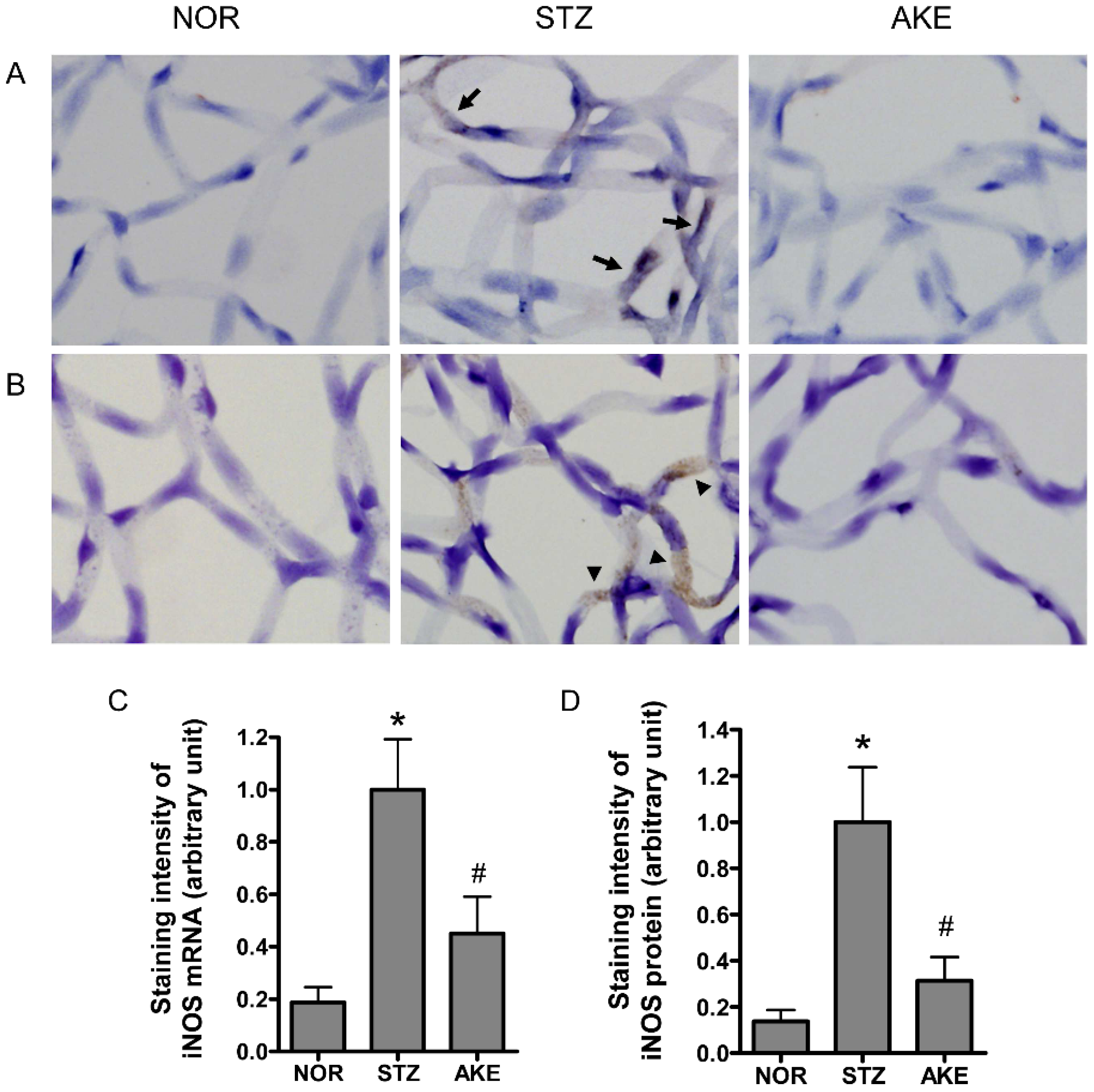 Nutrients 08 00585 g005