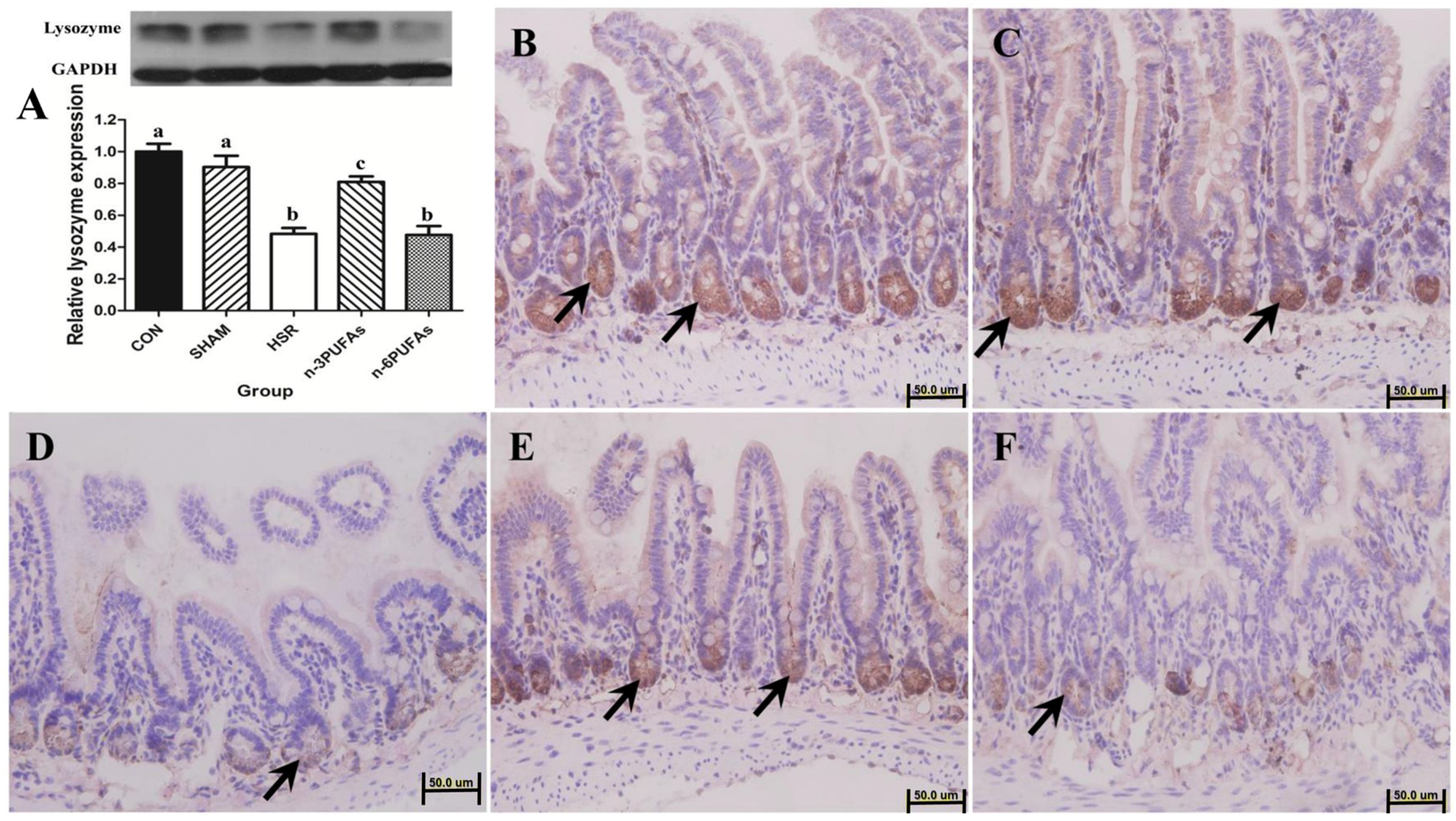 Nutrients 08 00609 g001