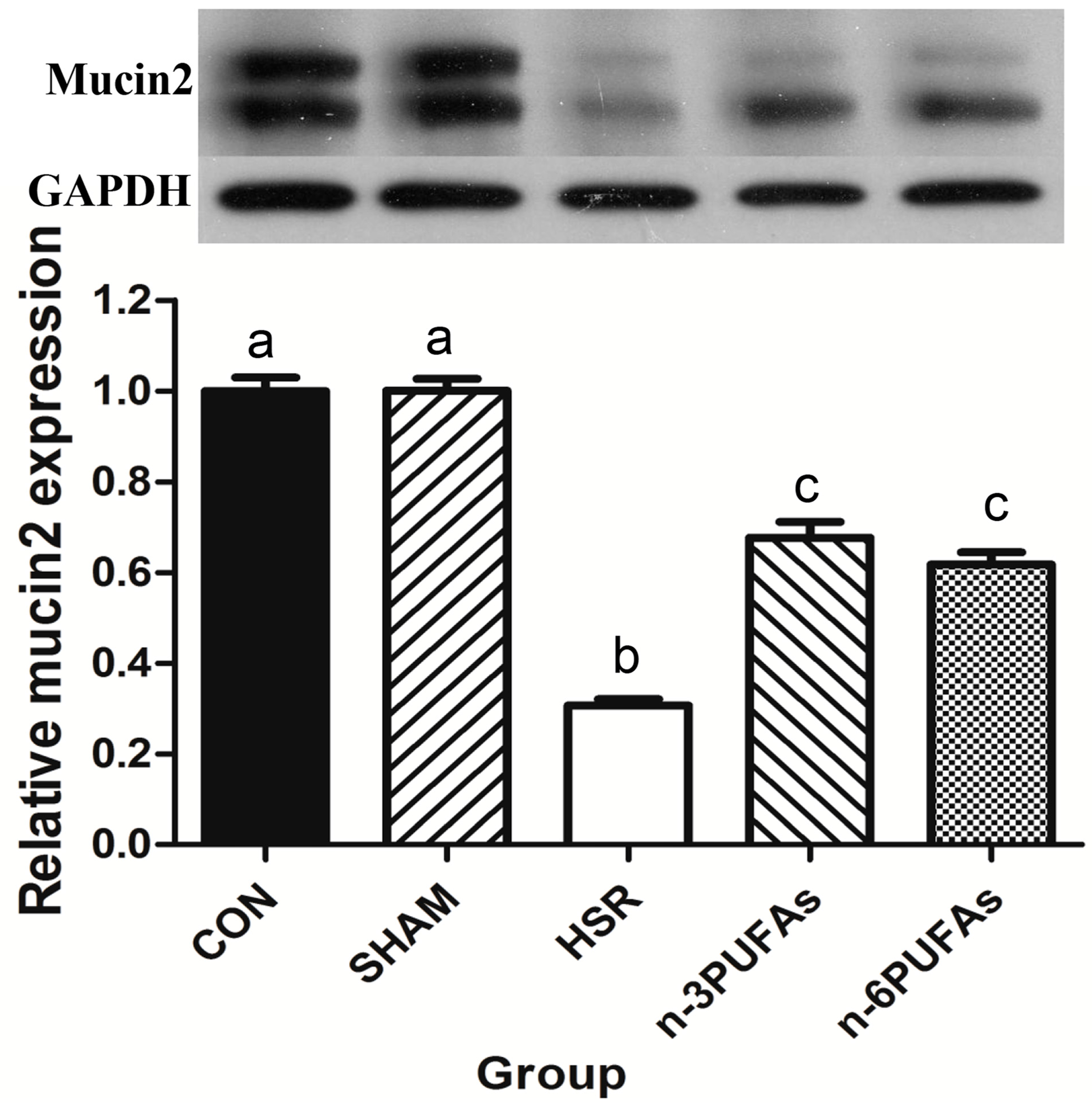 Nutrients 08 00609 g003