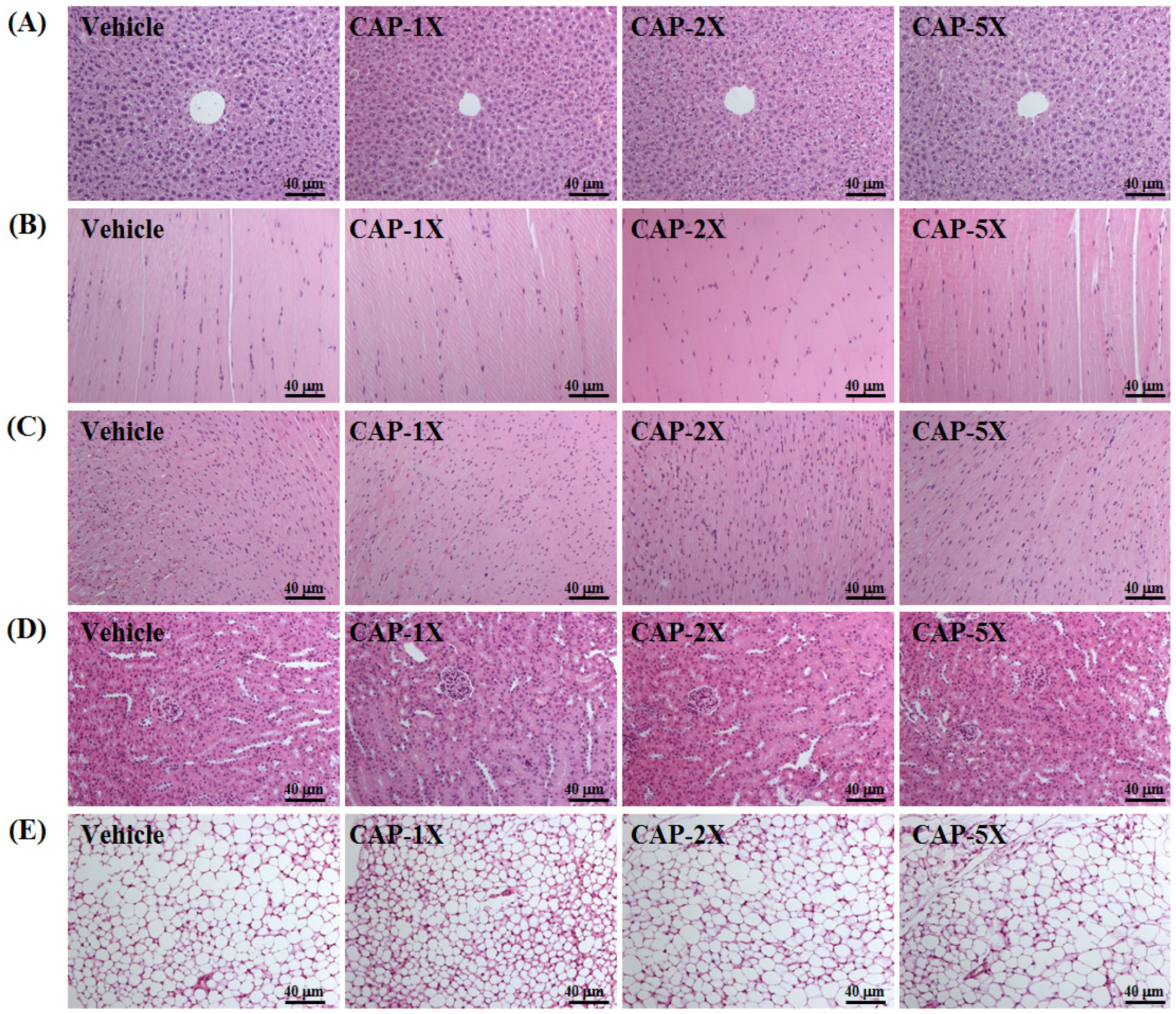 Nutrients 08 00648 g007