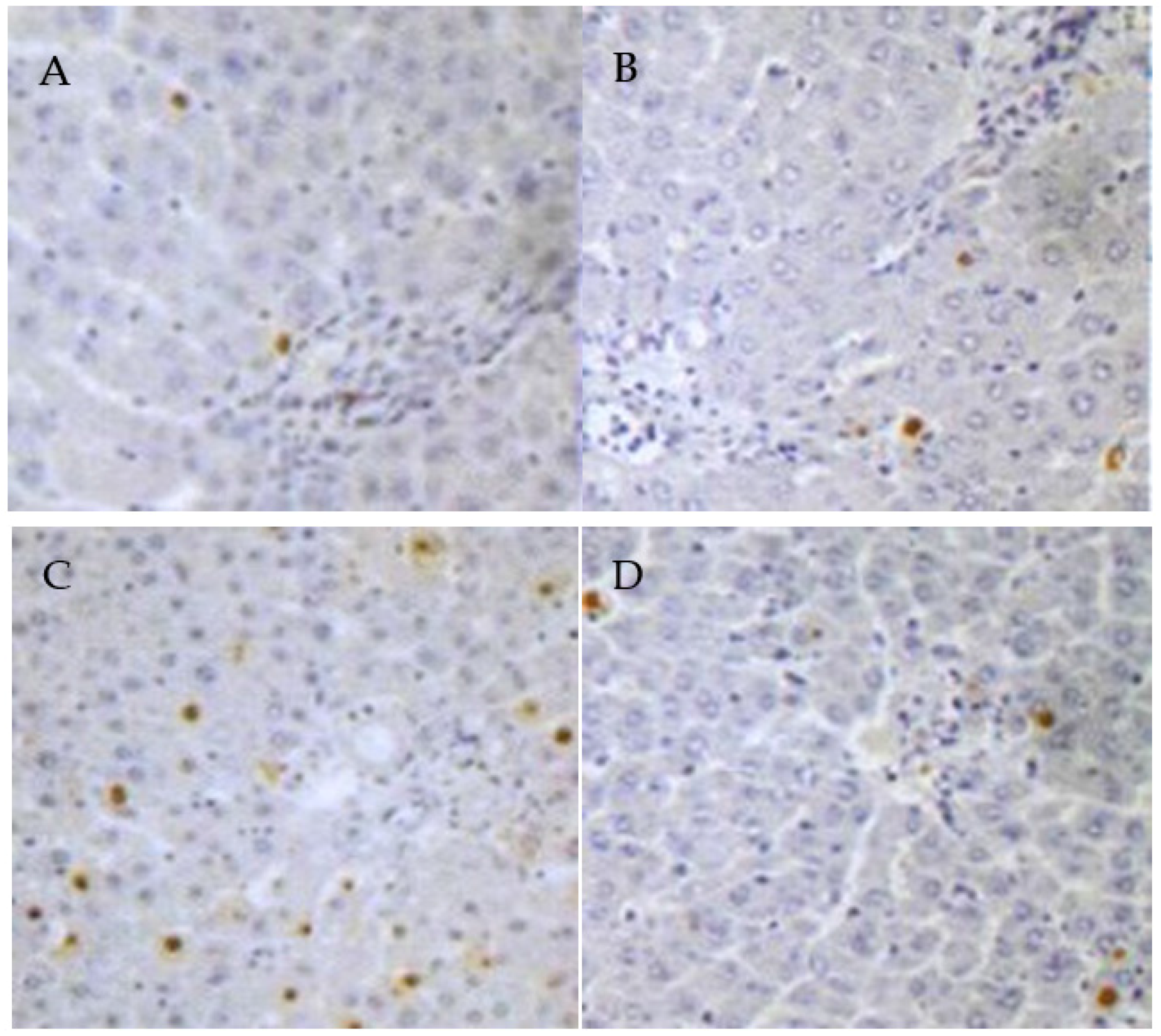 Nutrients 08 00656 g002