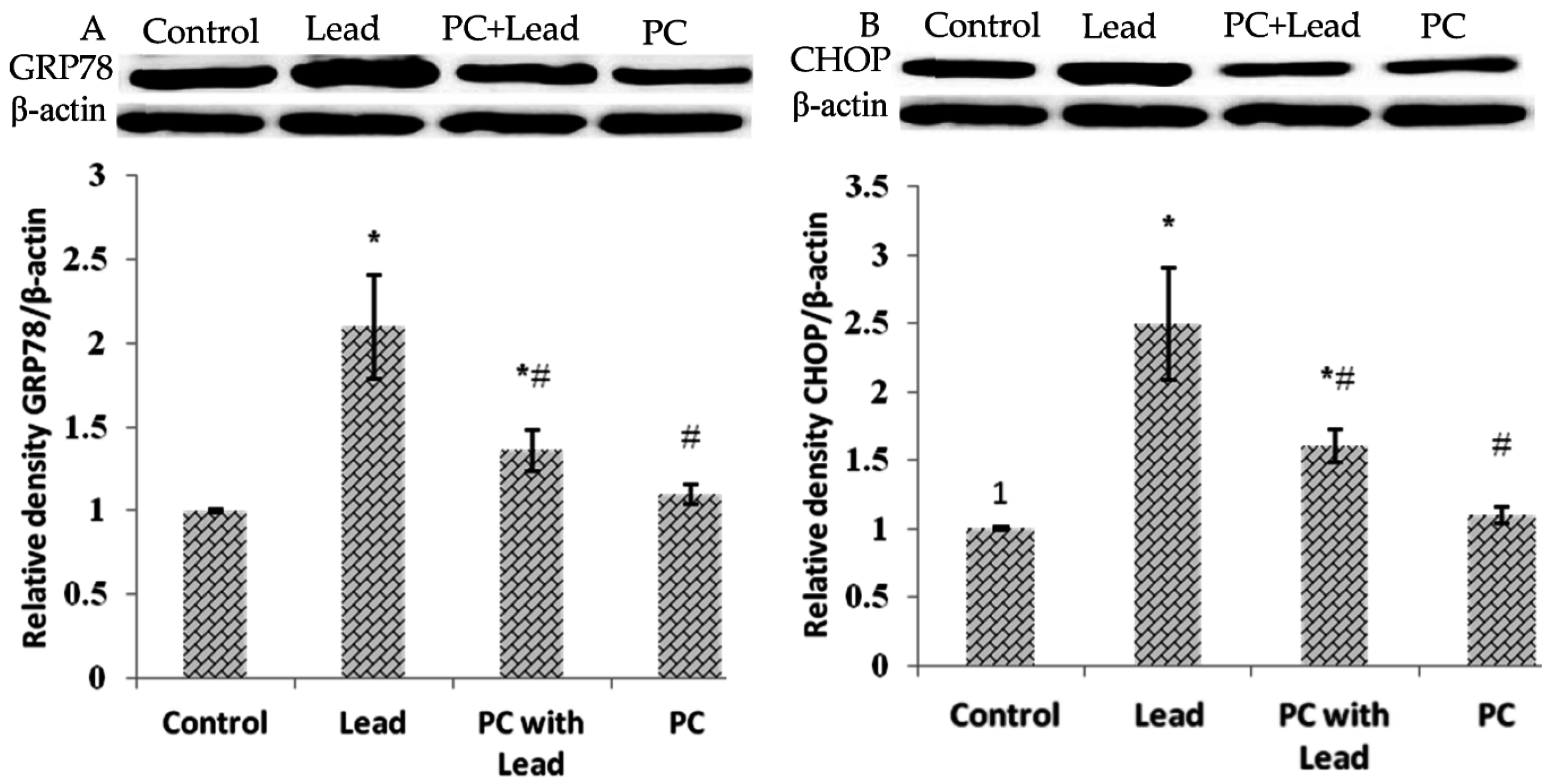 Nutrients 08 00656 g007