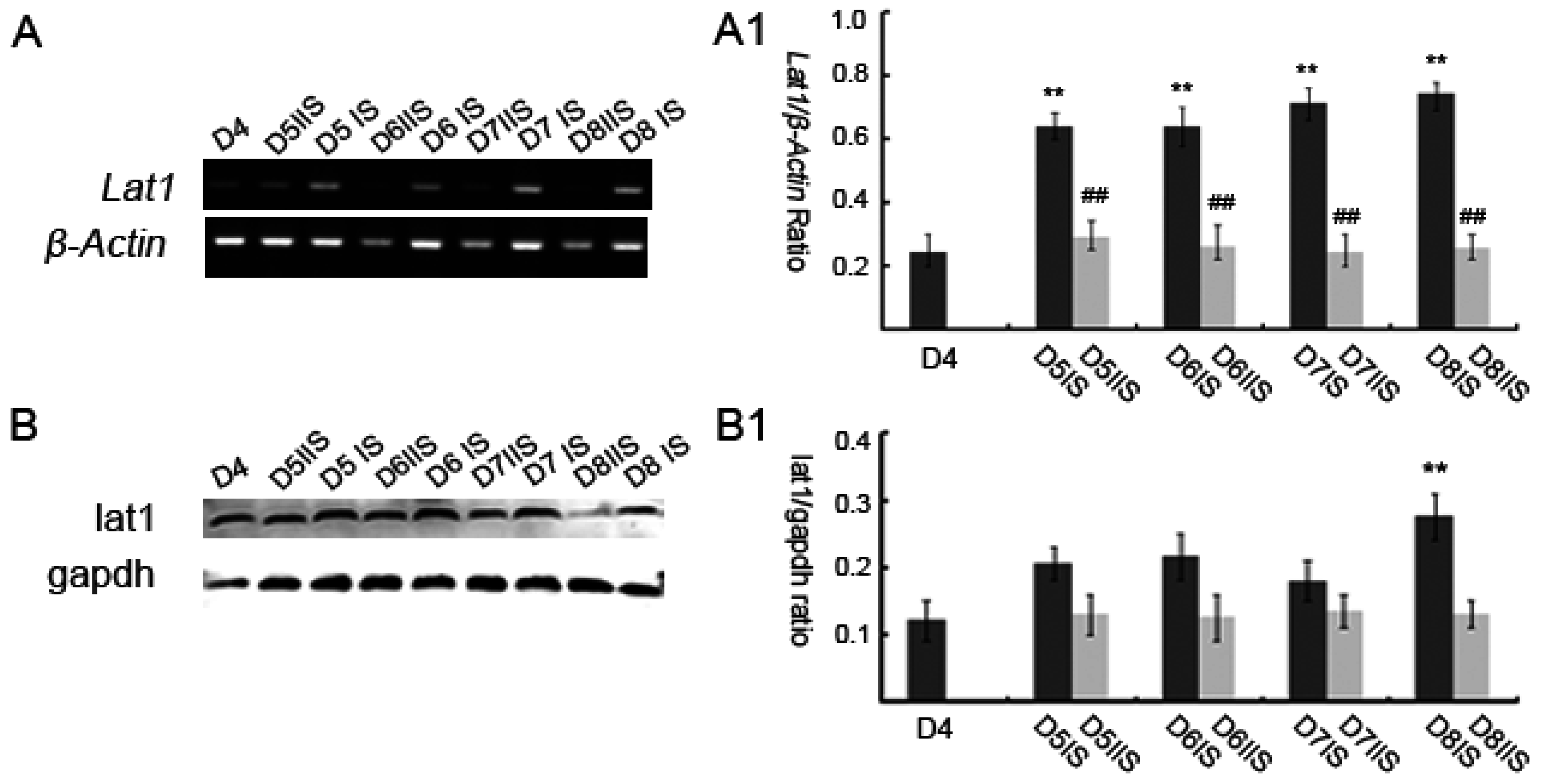 Nutrients 08 00704 g002