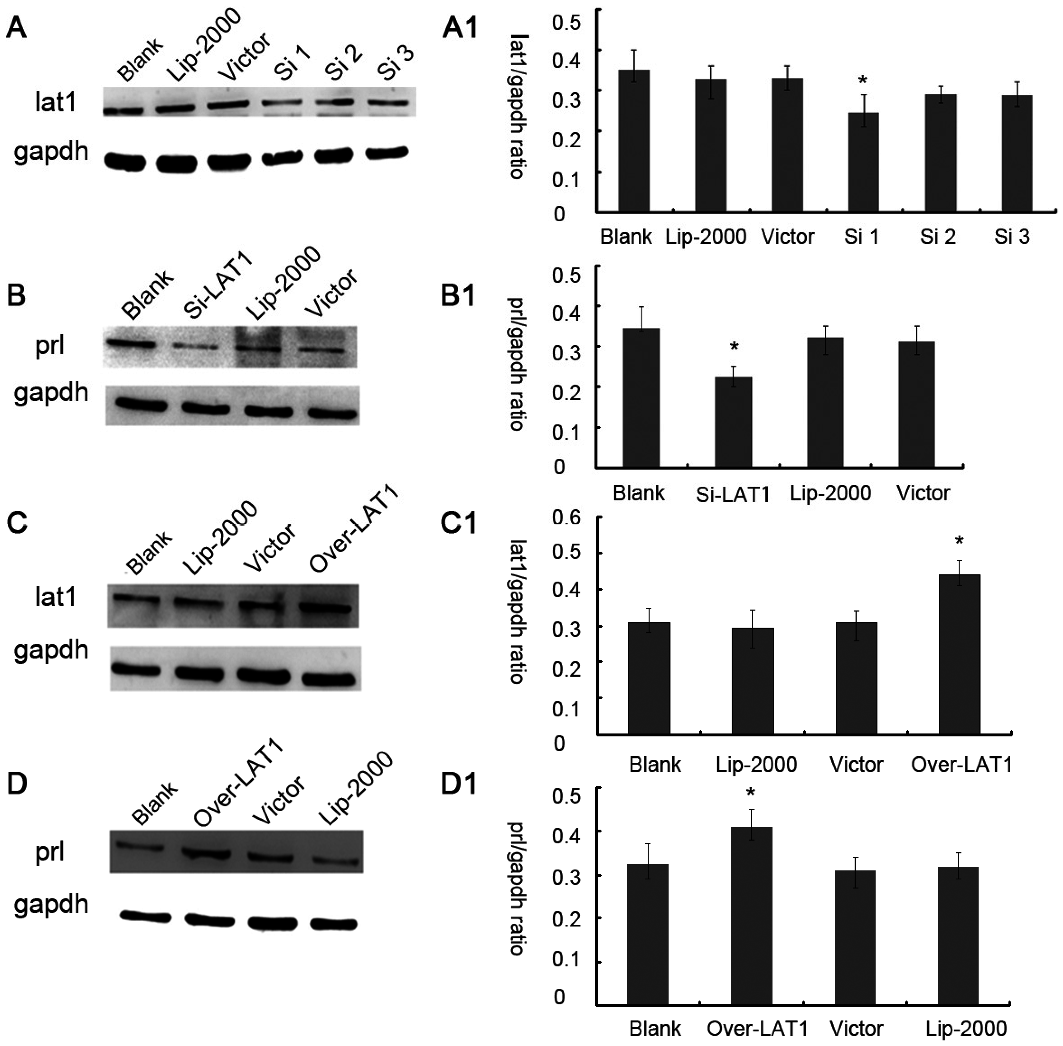 Nutrients 08 00704 g003