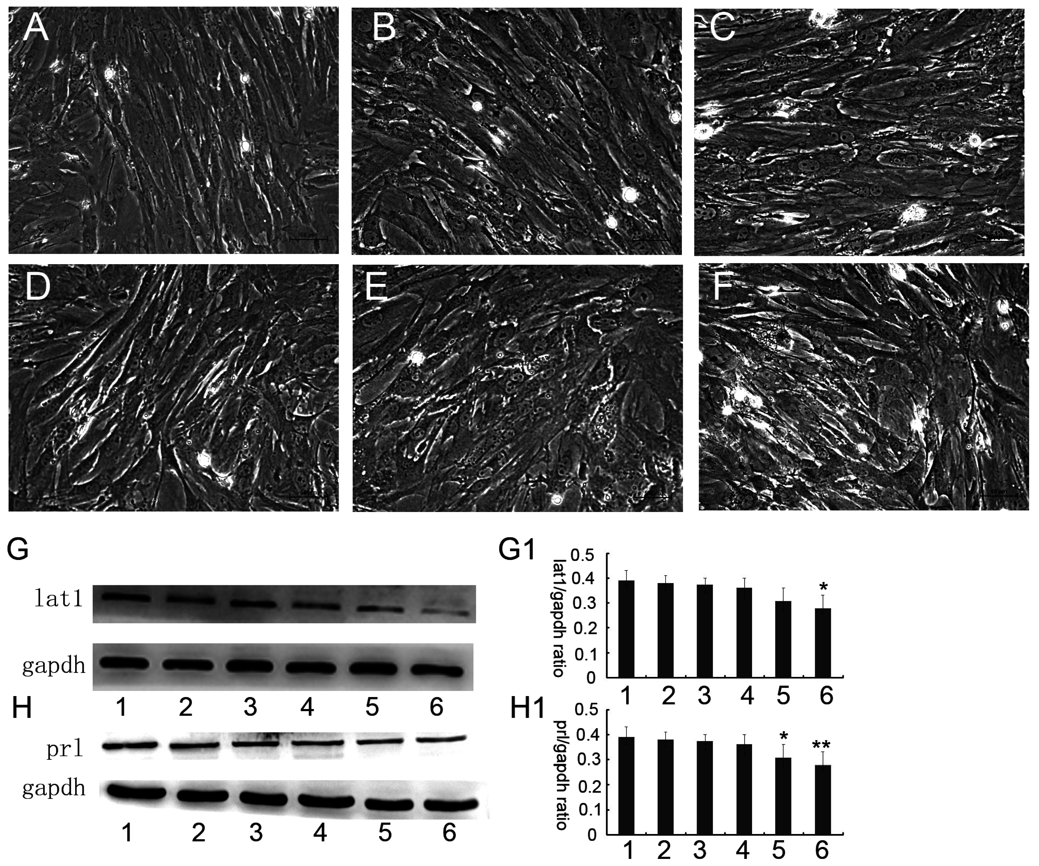 Nutrients 08 00704 g004