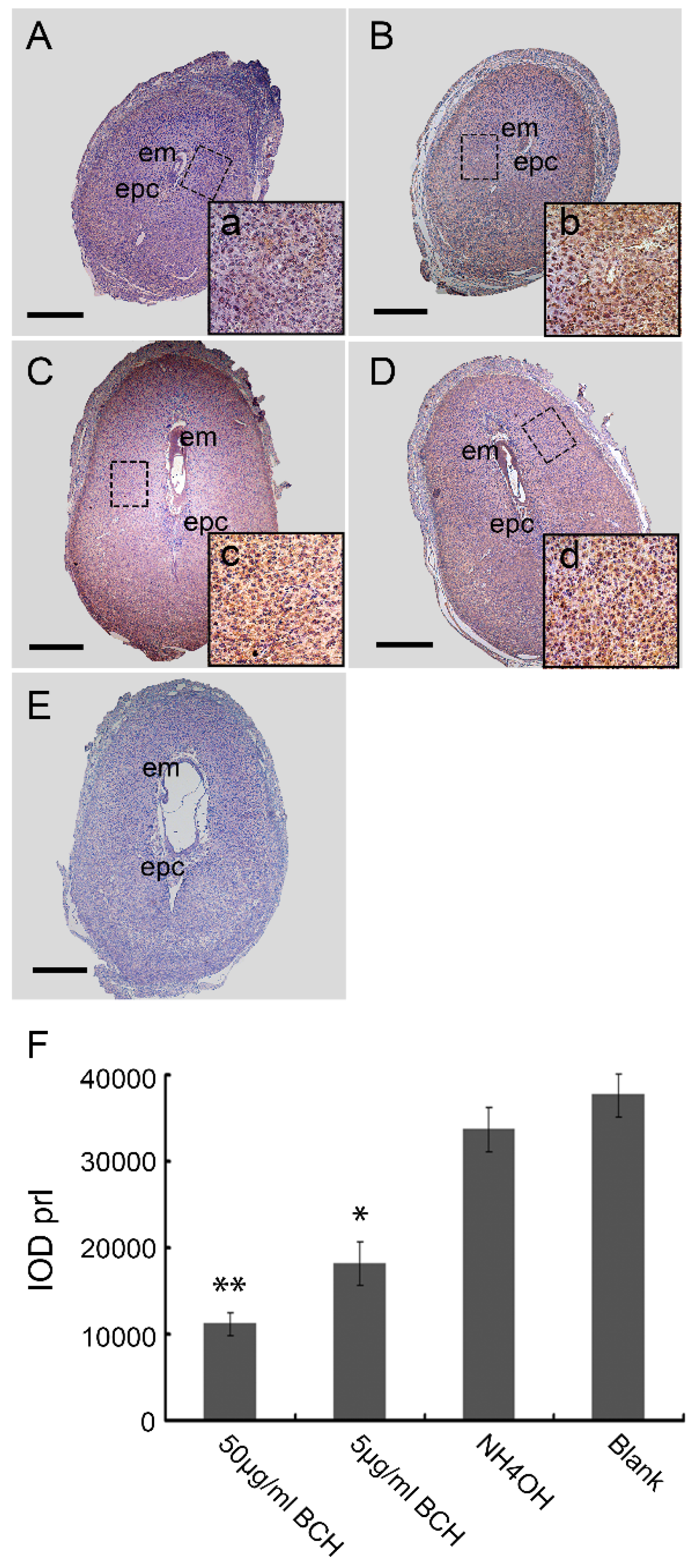 Nutrients 08 00704 g006
