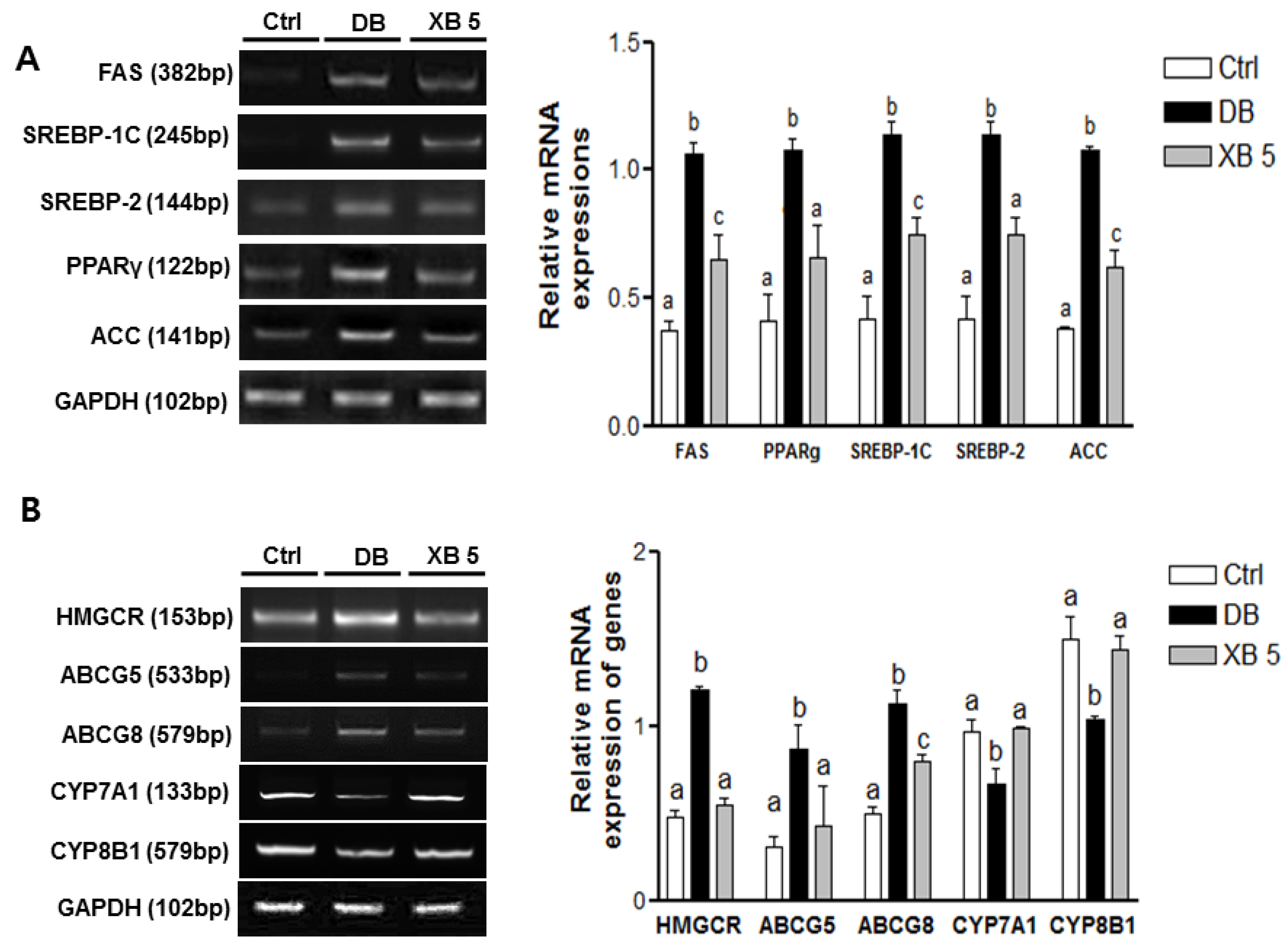 Nutrients 08 00791 g005