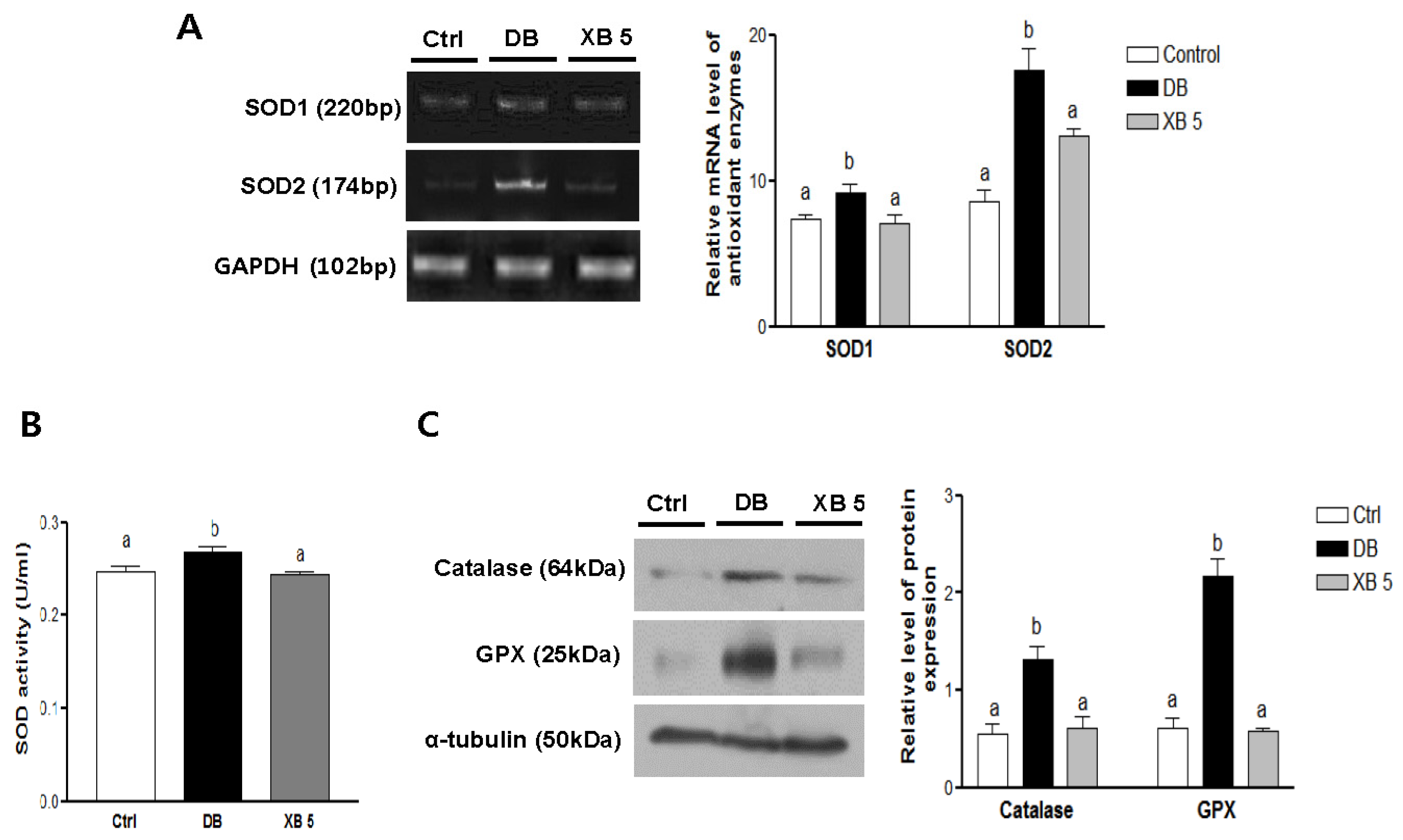 Nutrients 08 00791 g006