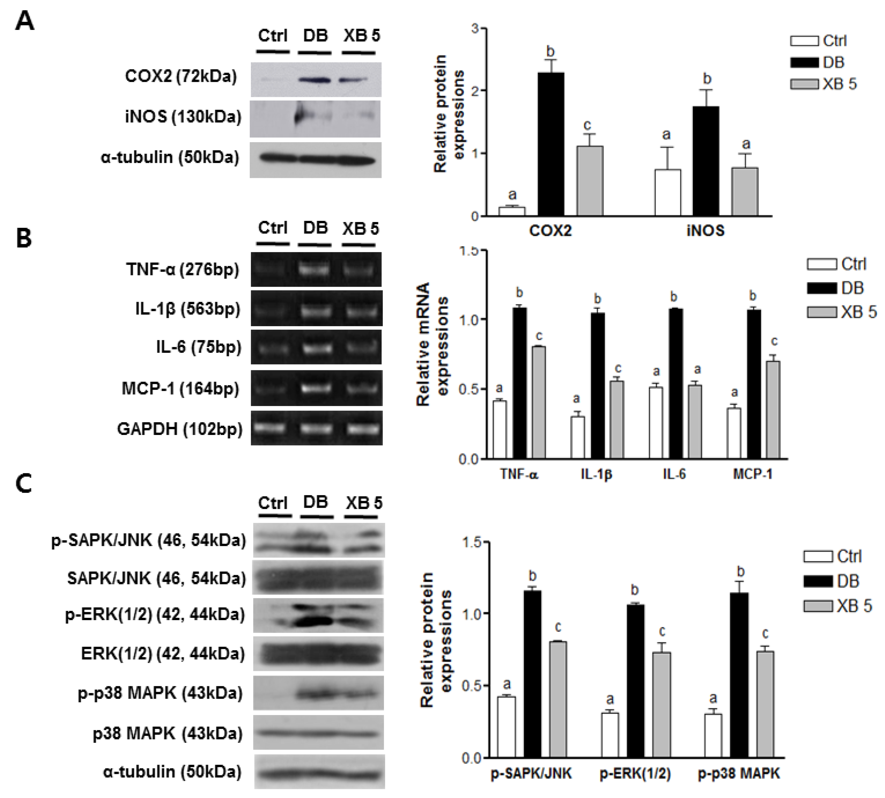 Nutrients 08 00791 g007