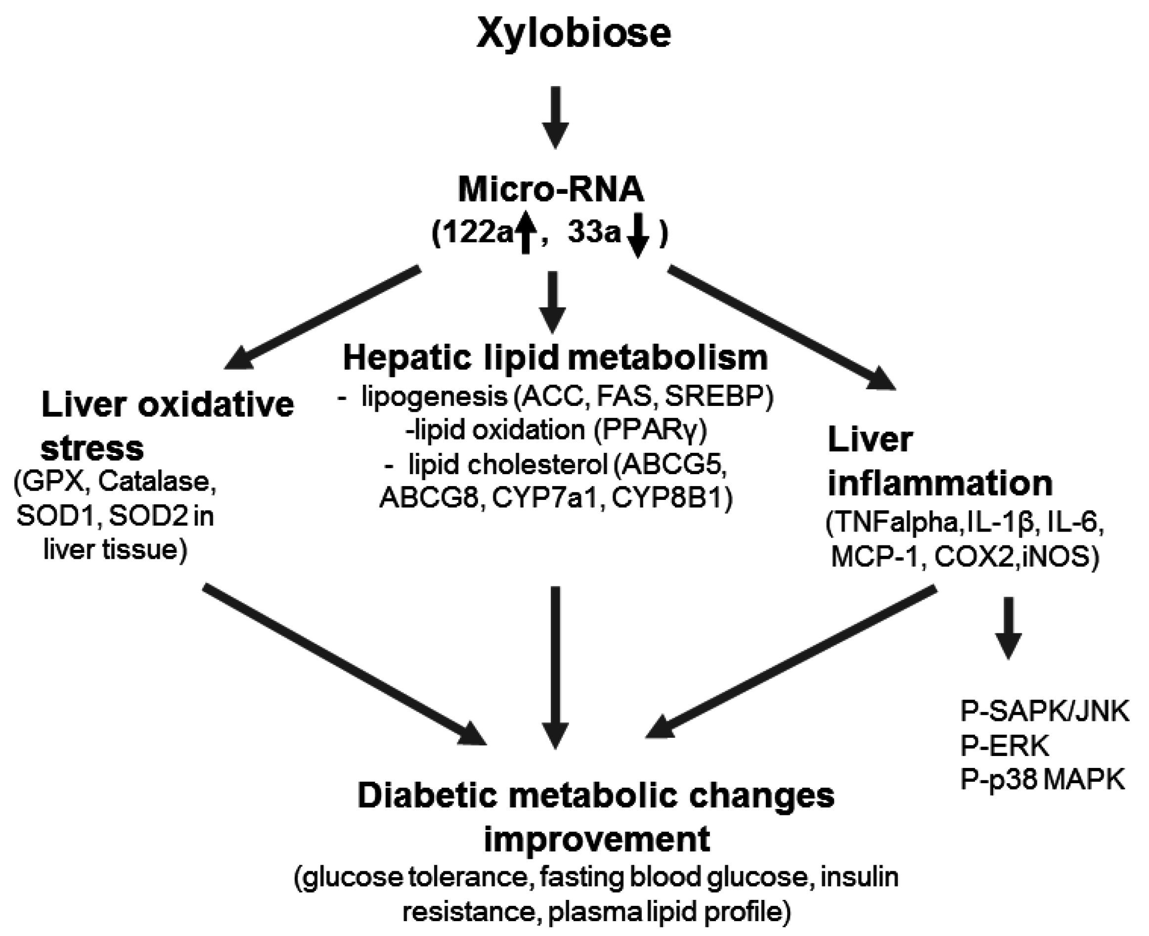 Nutrients 08 00791 g008