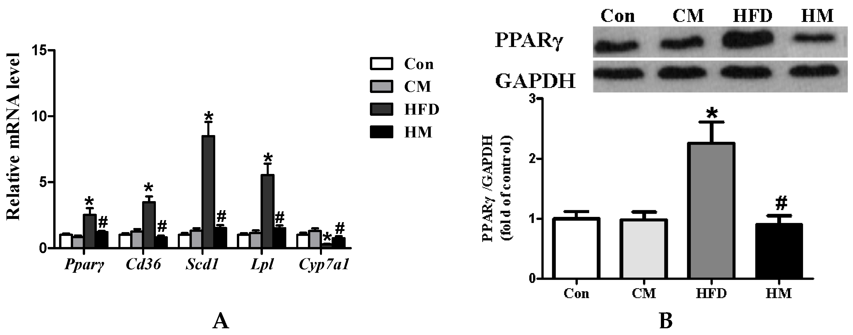 Nutrients 08 00799 g004