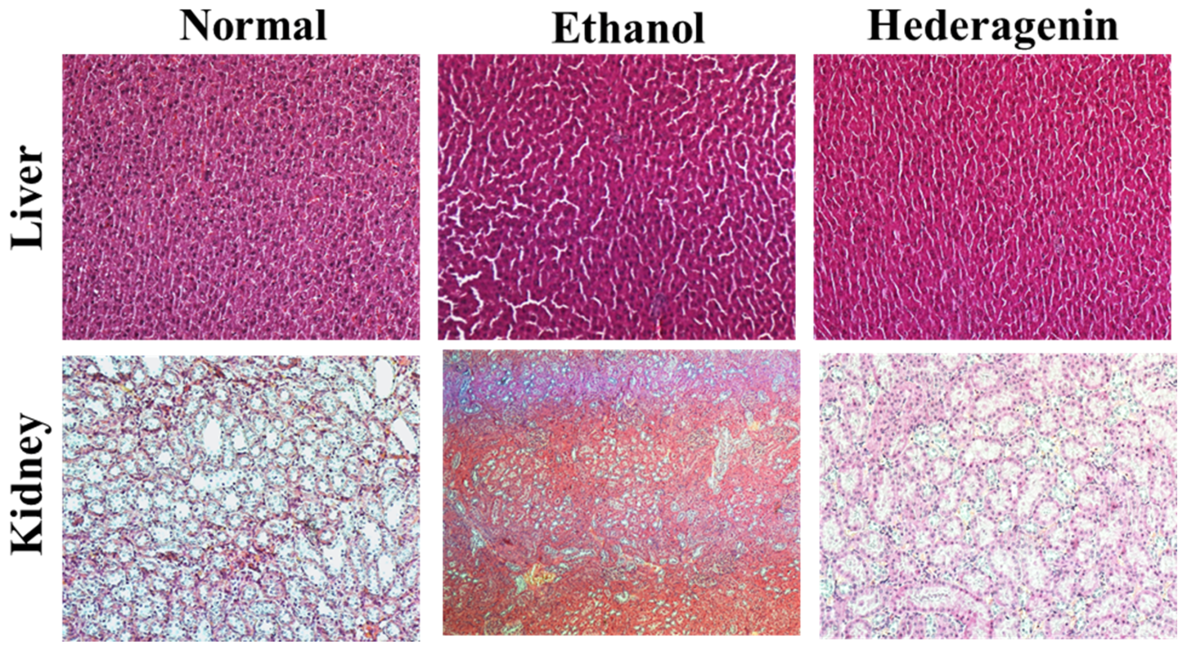 Nutrients 09 00041 g002