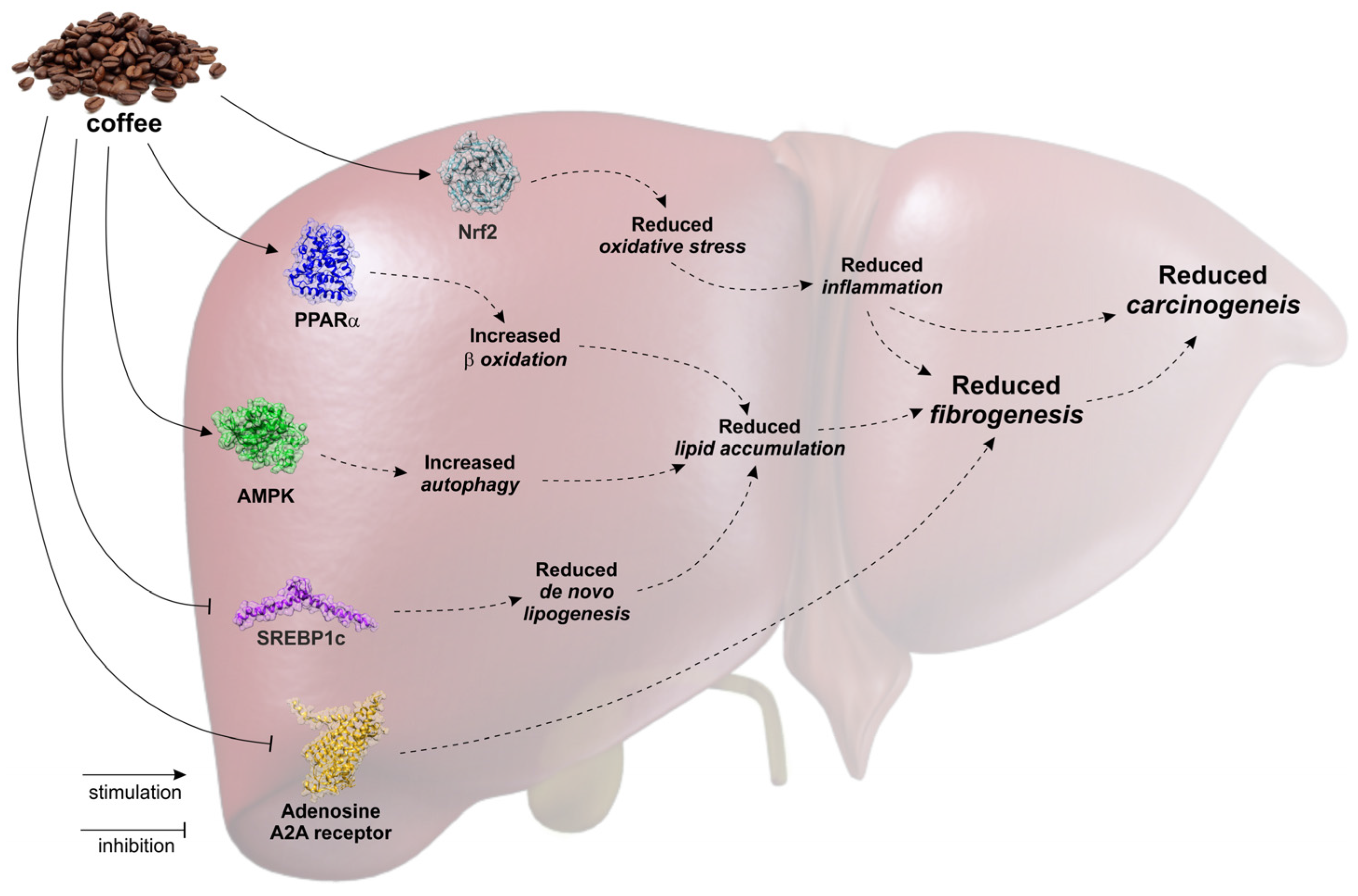 Nutrients 09 00085 g002