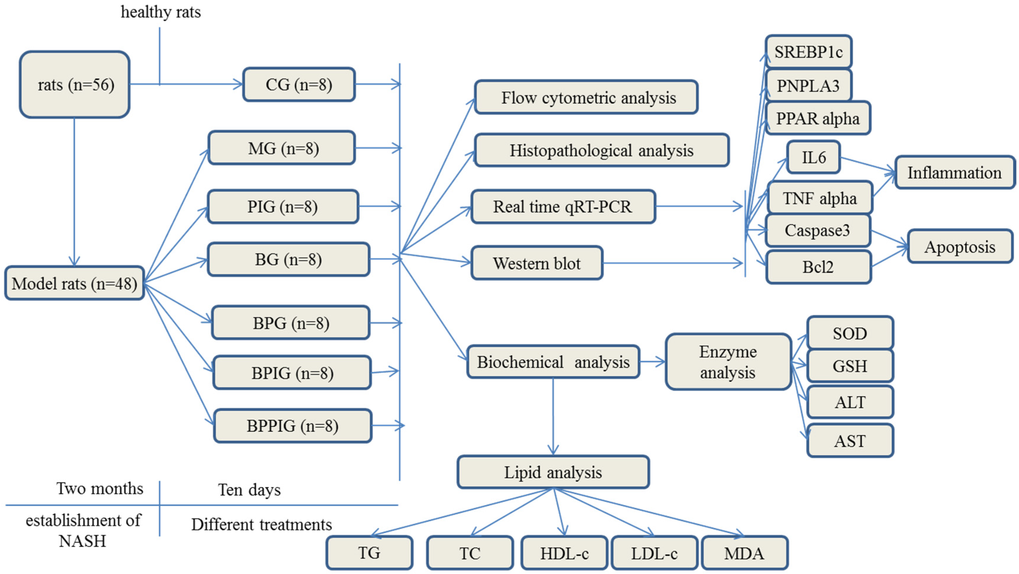 Nutrients 09 00198 g001
