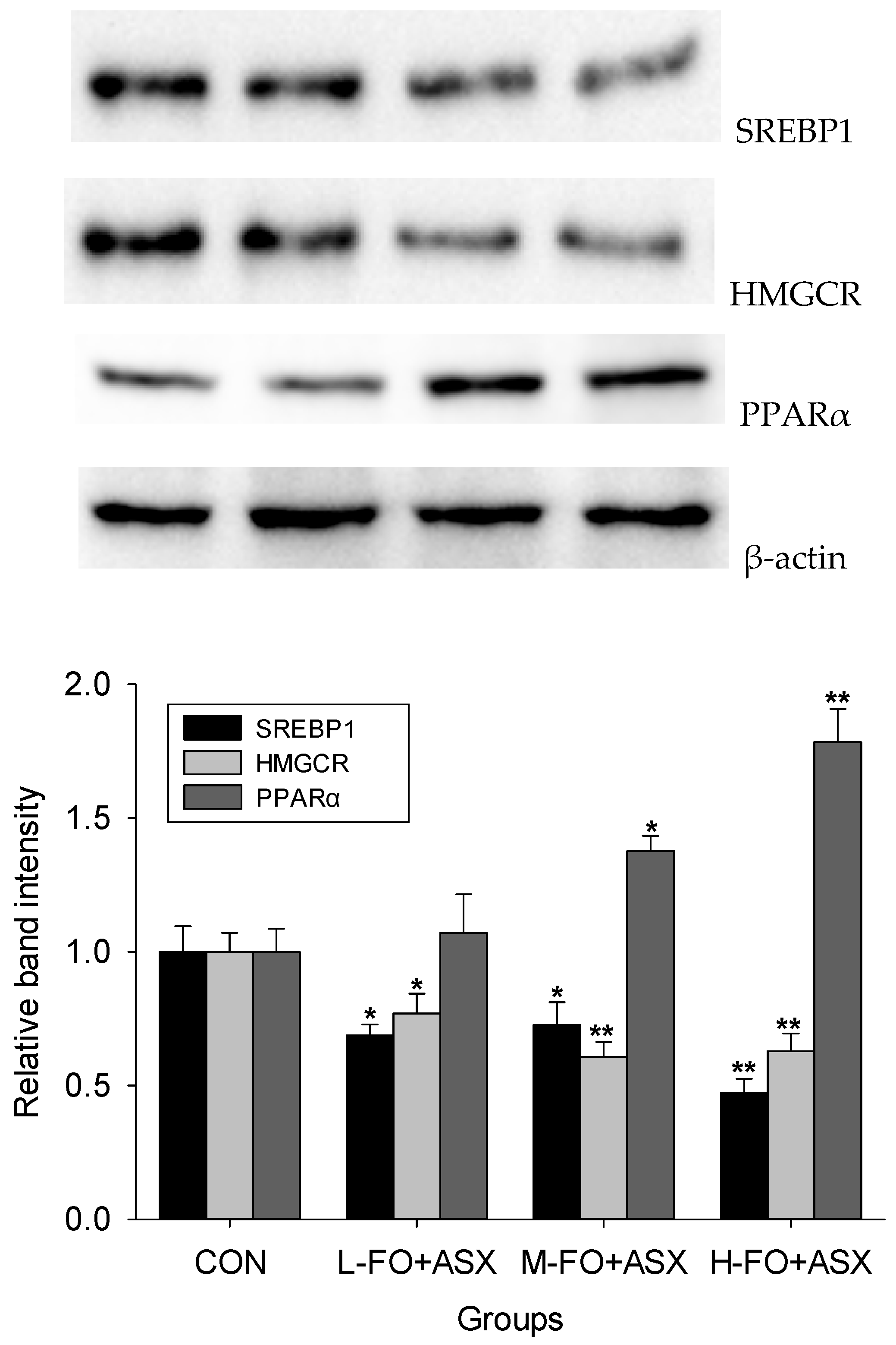 Nutrients 09 00271 g004