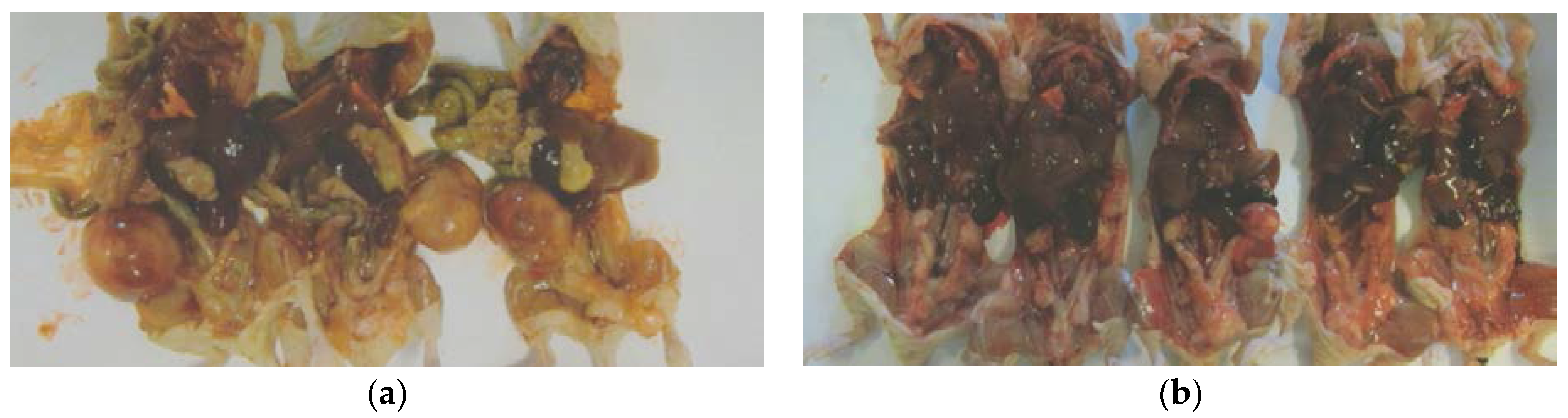 Nutrients 09 00303 g002