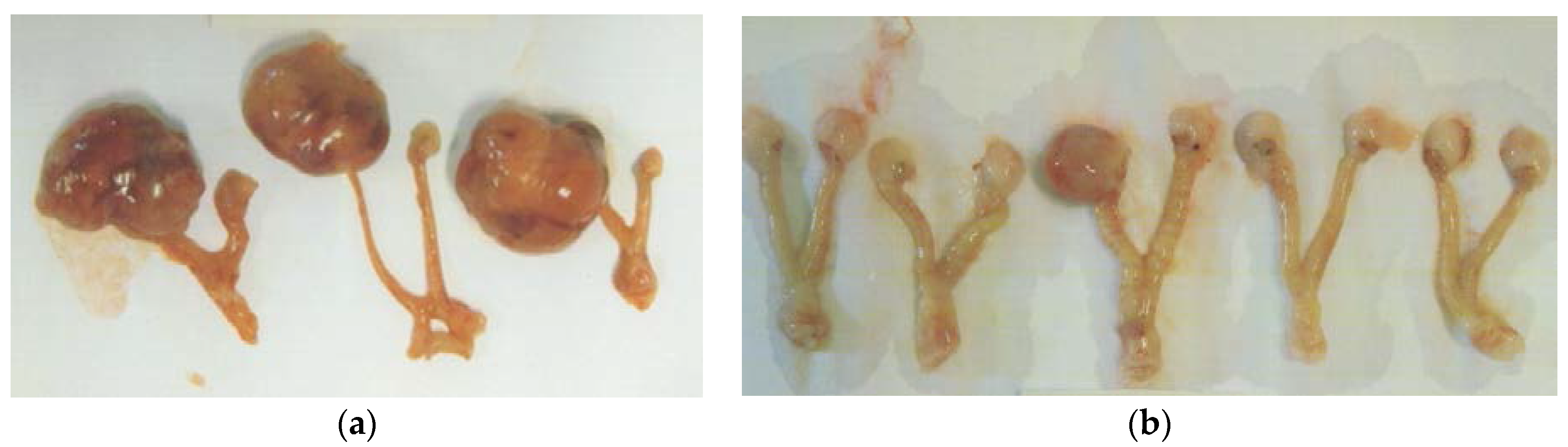 Nutrients 09 00303 g003