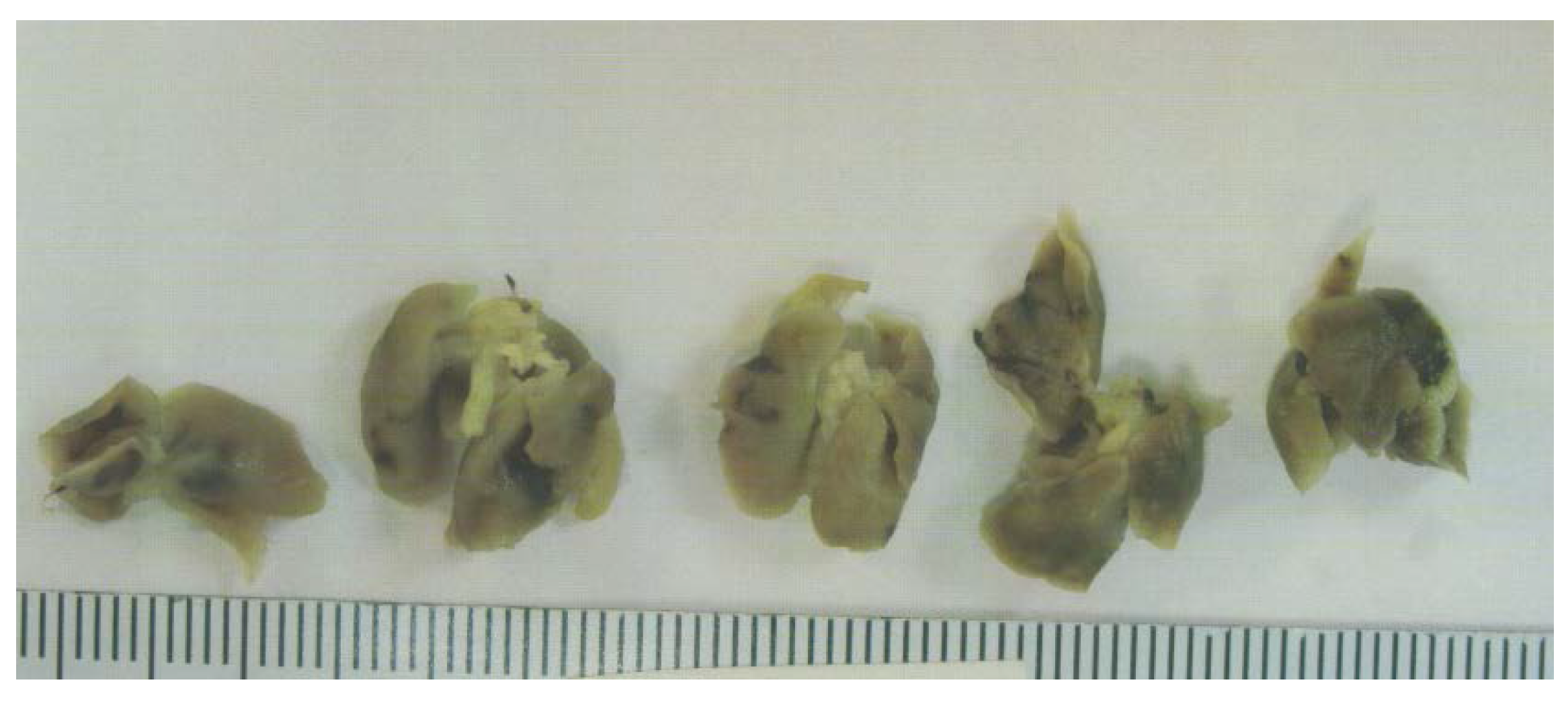 Nutrients 09 00303 g004