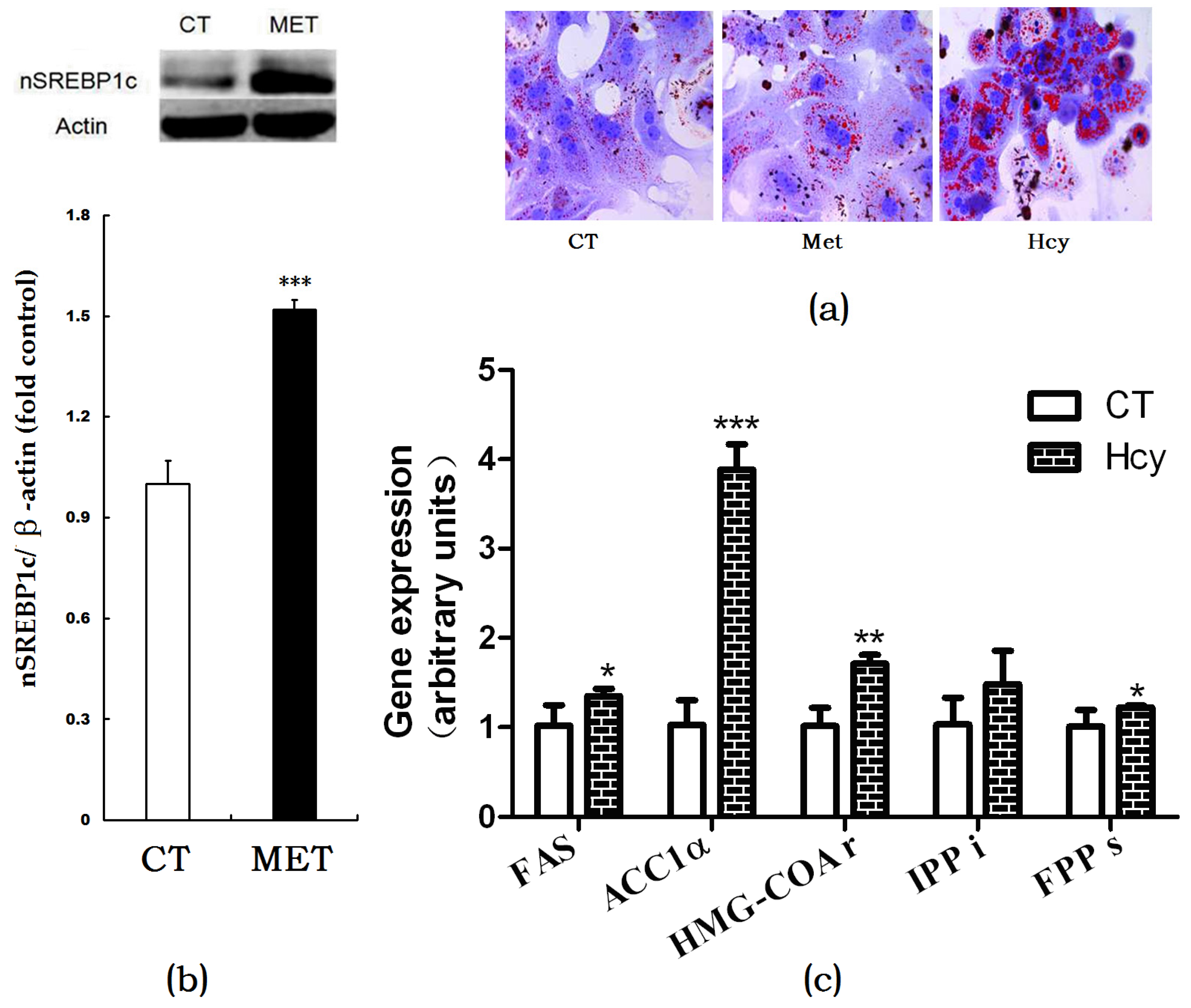 Nutrients 09 00346 g003