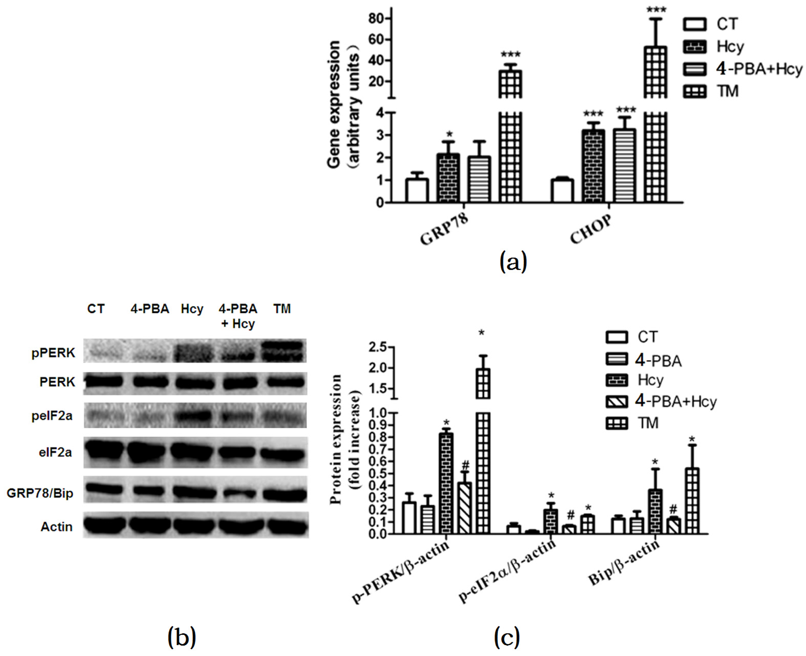 Nutrients 09 00346 g005