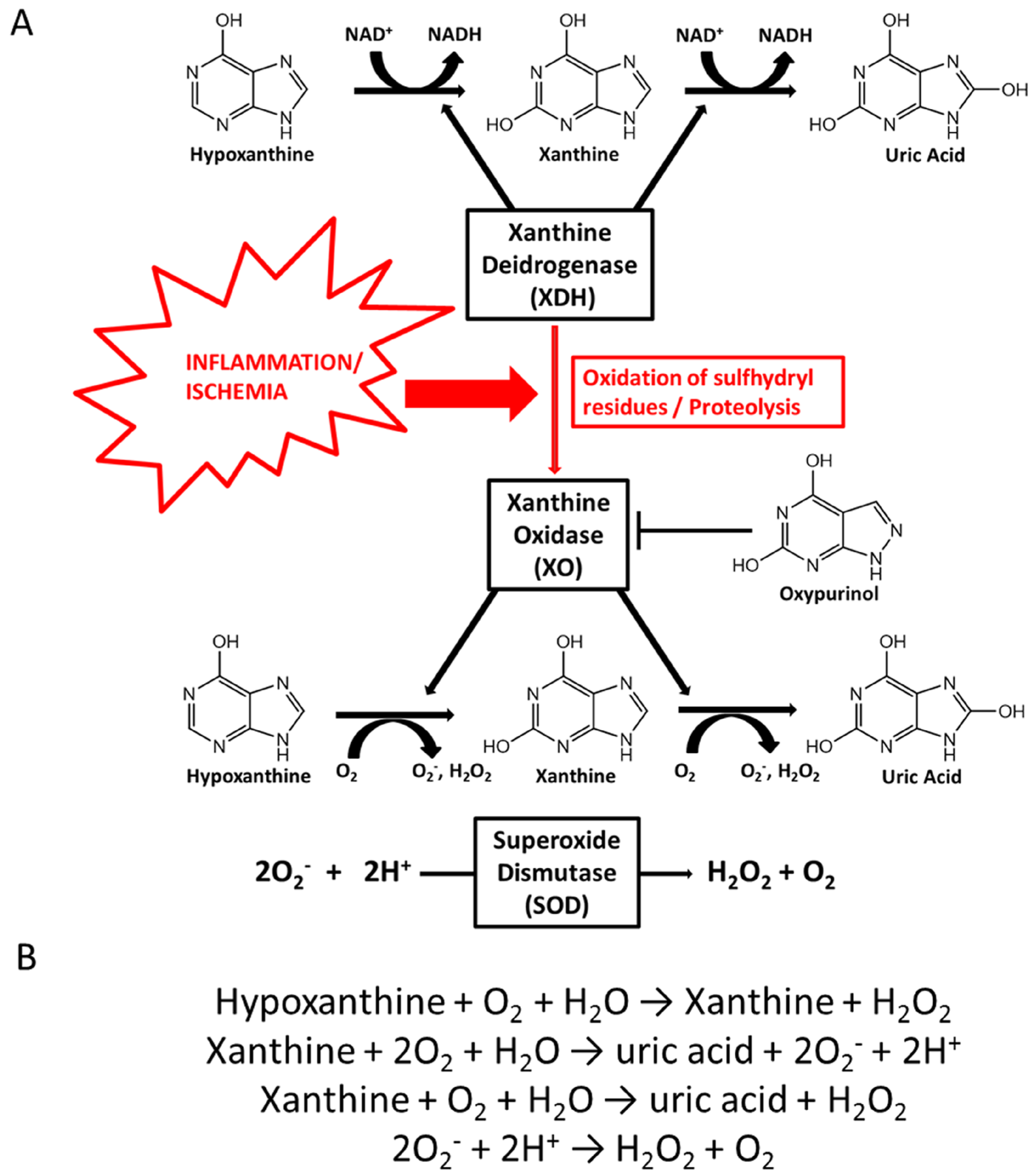 Nutrients 09 00395 g001