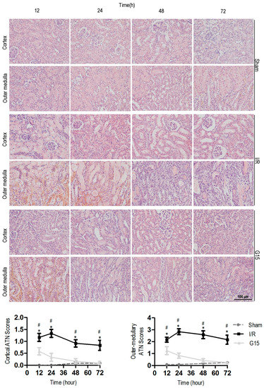 Nutrients 09 00403 g010 550