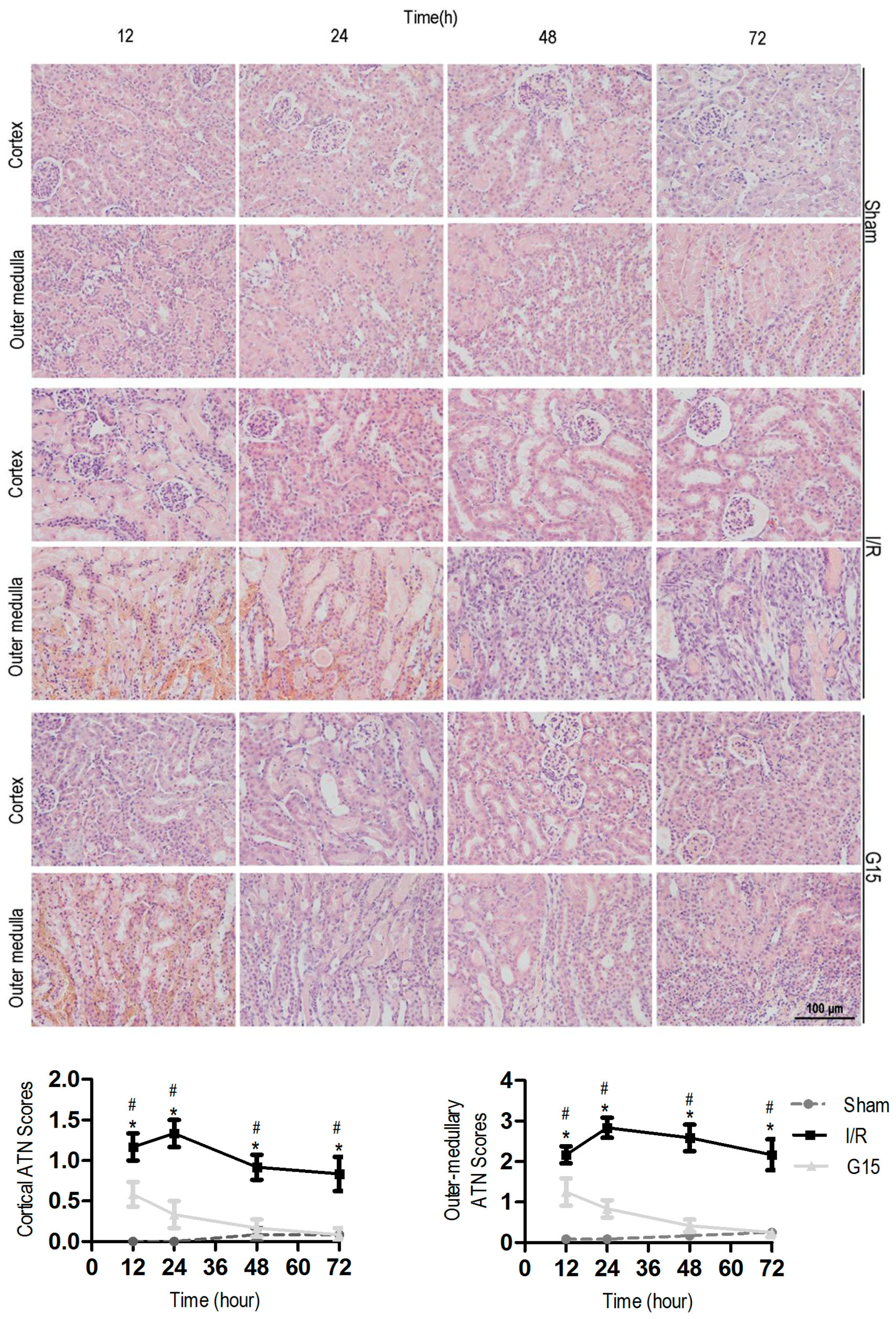 Nutrients 09 00403 g010