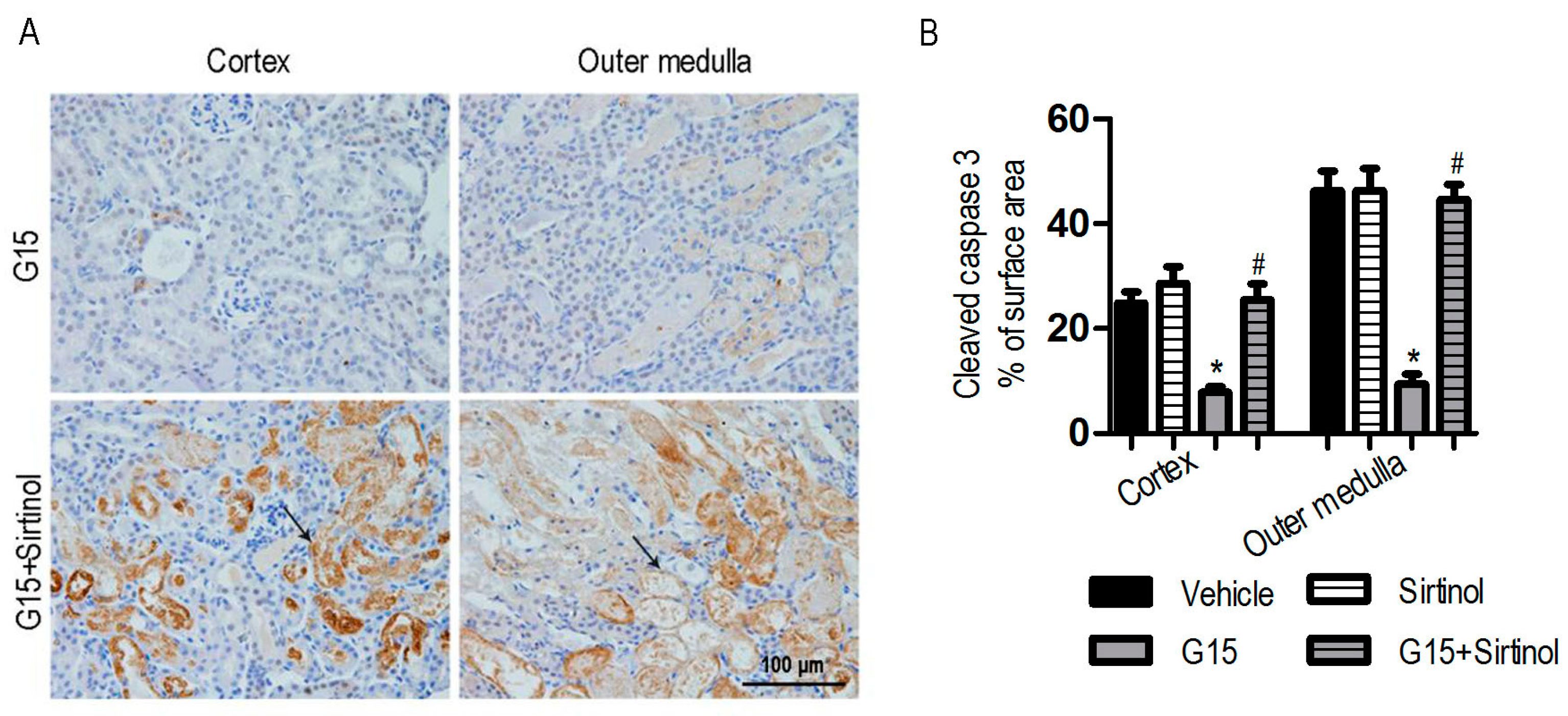 Nutrients 09 00403 g012