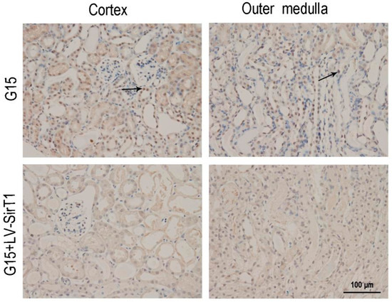 Nutrients 09 00403 g015 550