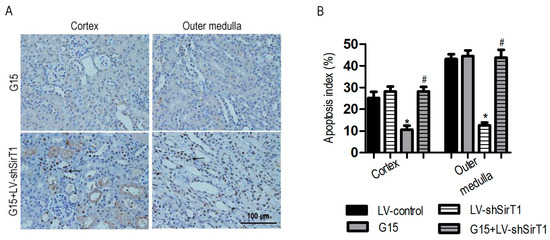 Nutrients 09 00403 g016 550