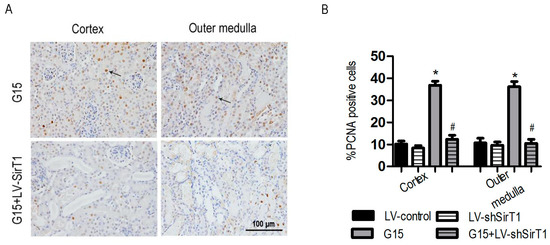 Nutrients 09 00403 g017 550